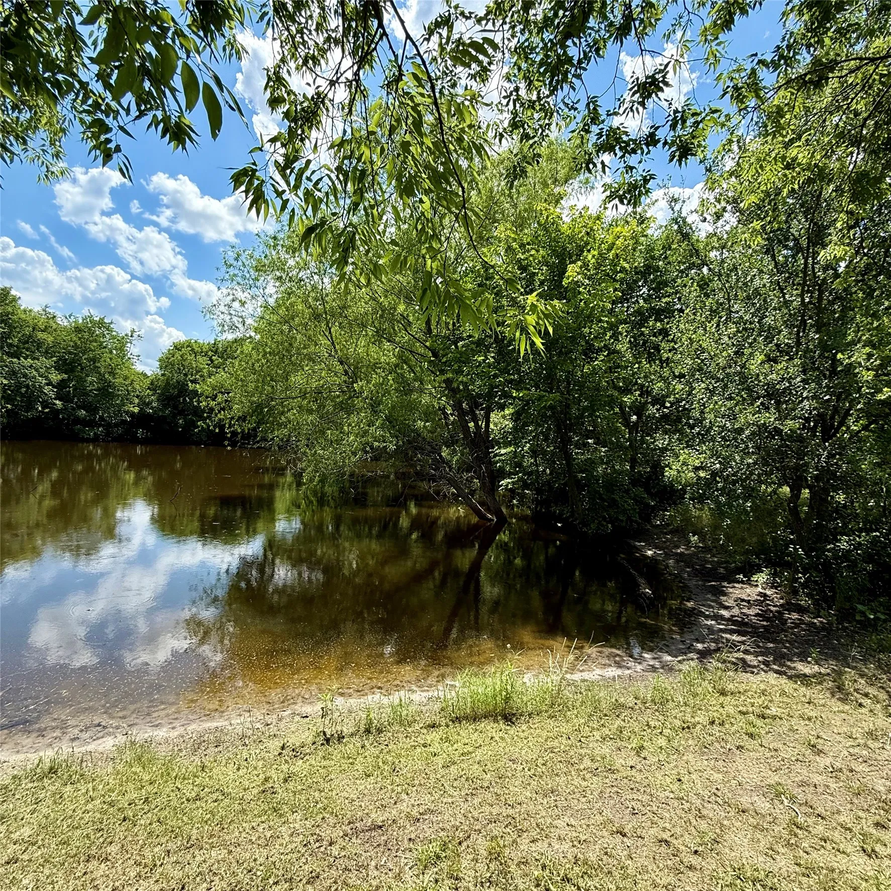 Pond