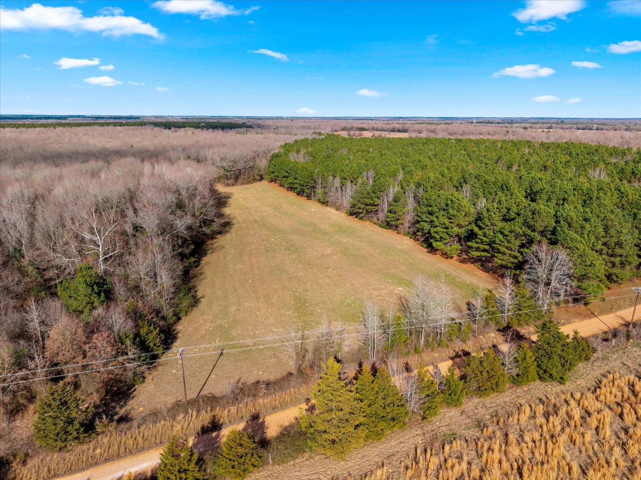 Unimproved Land For Sale in Bowie County , tbd Cr-4316, De Kalb, Texas 75559, 0, 0, Garage spaces, 0 Sqft, built in 0, Price $975,000, mls#21155417, Real Estate Agent in De Kalb, Homes For Sale in Bowie county, Homes For Sale in De Kalb, Realtor in De Kalb Texas, Real Estate Brokerage Independent Realty Texas, Luminita Cordes Realtor