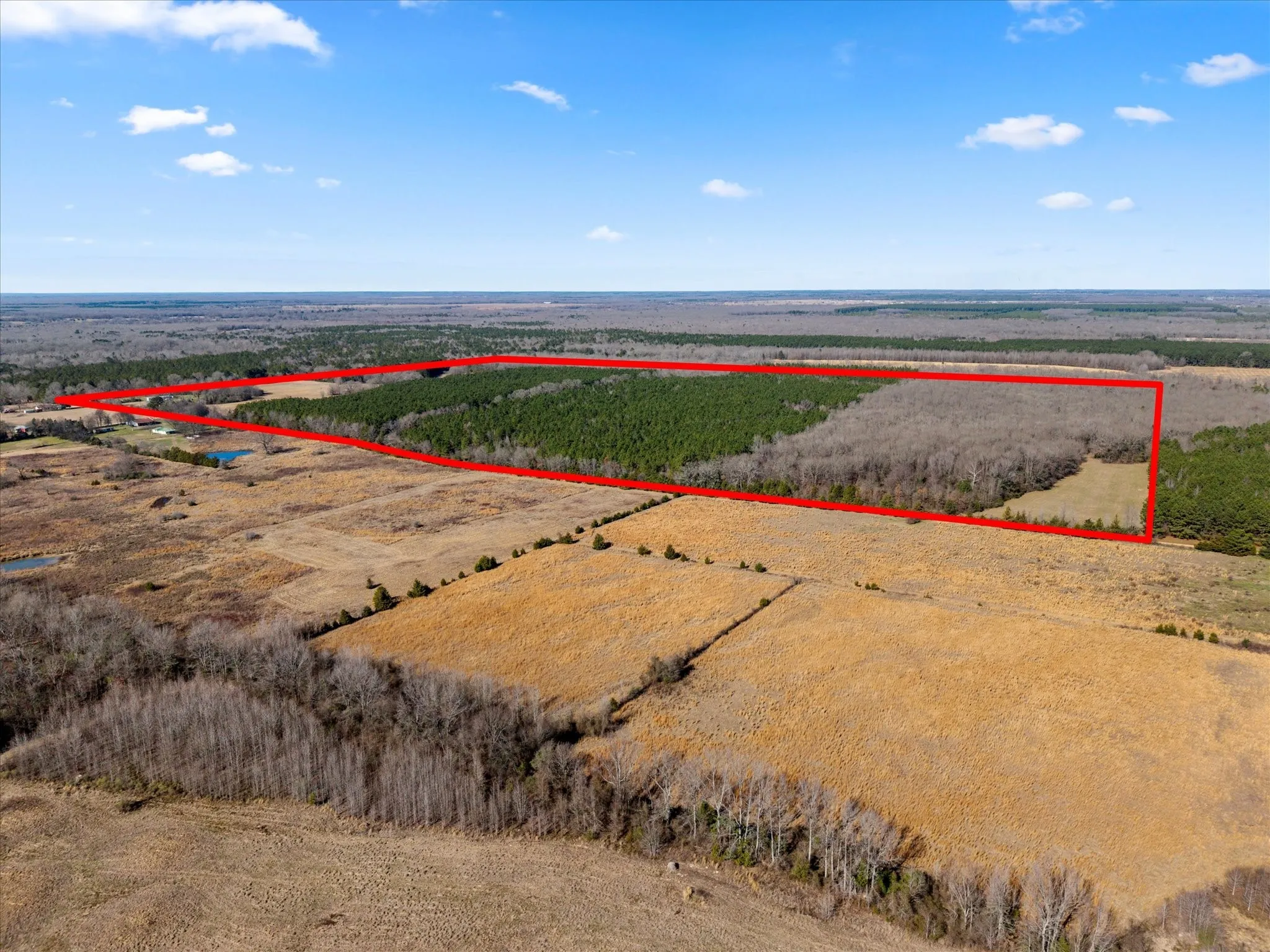 Unimproved Land For Sale in Bowie County , tbd Cr-4316, De Kalb, Texas 75559, 0, 0, Garage spaces, 0 Sqft, built in 0, Price $975,000, mls#21155417, Real Estate Agent in De Kalb, Homes For Sale in Bowie county, Homes For Sale in De Kalb, Realtor in De Kalb Texas, Real Estate Brokerage Independent Realty Texas, Luminita Cordes Realtor