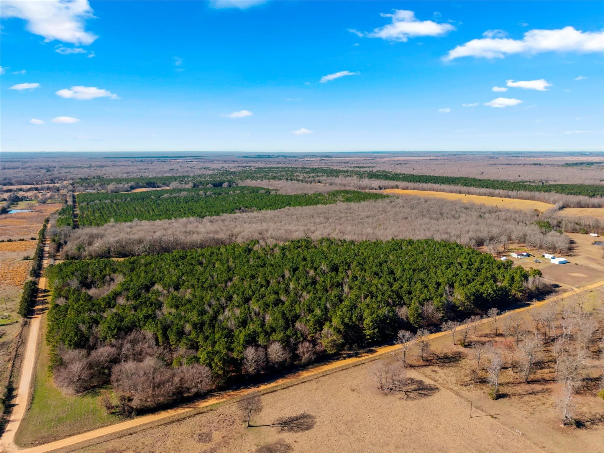 Unimproved Land For Sale in Bowie County , tbd Cr-4316, De Kalb, Texas 75559, 0, 0, Garage spaces, 0 Sqft, built in 0, Price $975,000, mls#21155417, Real Estate Agent in De Kalb, Homes For Sale in Bowie county, Homes For Sale in De Kalb, Realtor in De Kalb Texas, Real Estate Brokerage Independent Realty Texas, Luminita Cordes Realtor