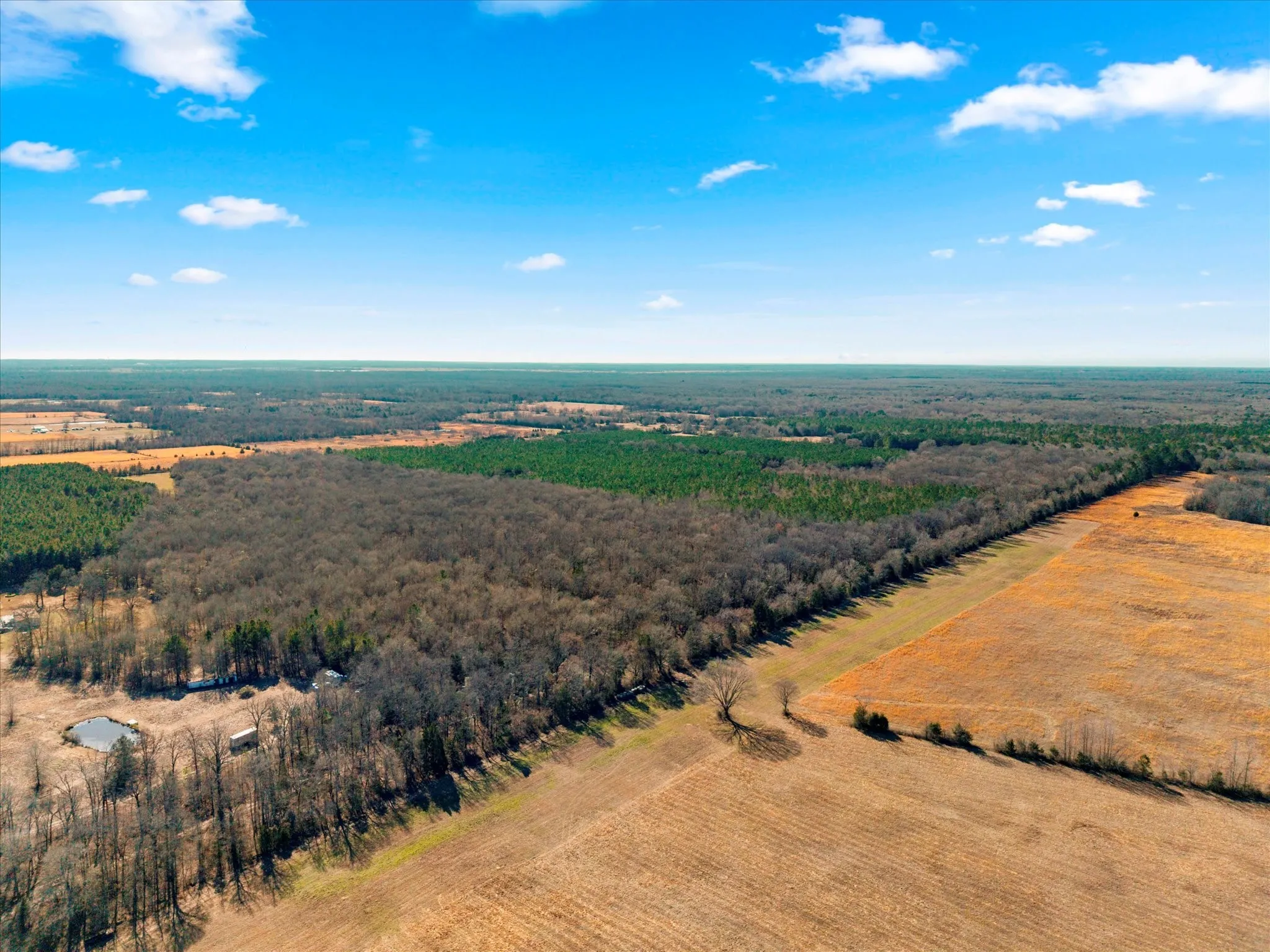 Unimproved Land For Sale in Bowie County , tbd Cr-4316, De Kalb, Texas 75559, 0, 0, Garage spaces, 0 Sqft, built in 0, Price $975,000, mls#21155417, Real Estate Agent in De Kalb, Homes For Sale in Bowie county, Homes For Sale in De Kalb, Realtor in De Kalb Texas, Real Estate Brokerage Independent Realty Texas, Luminita Cordes Realtor