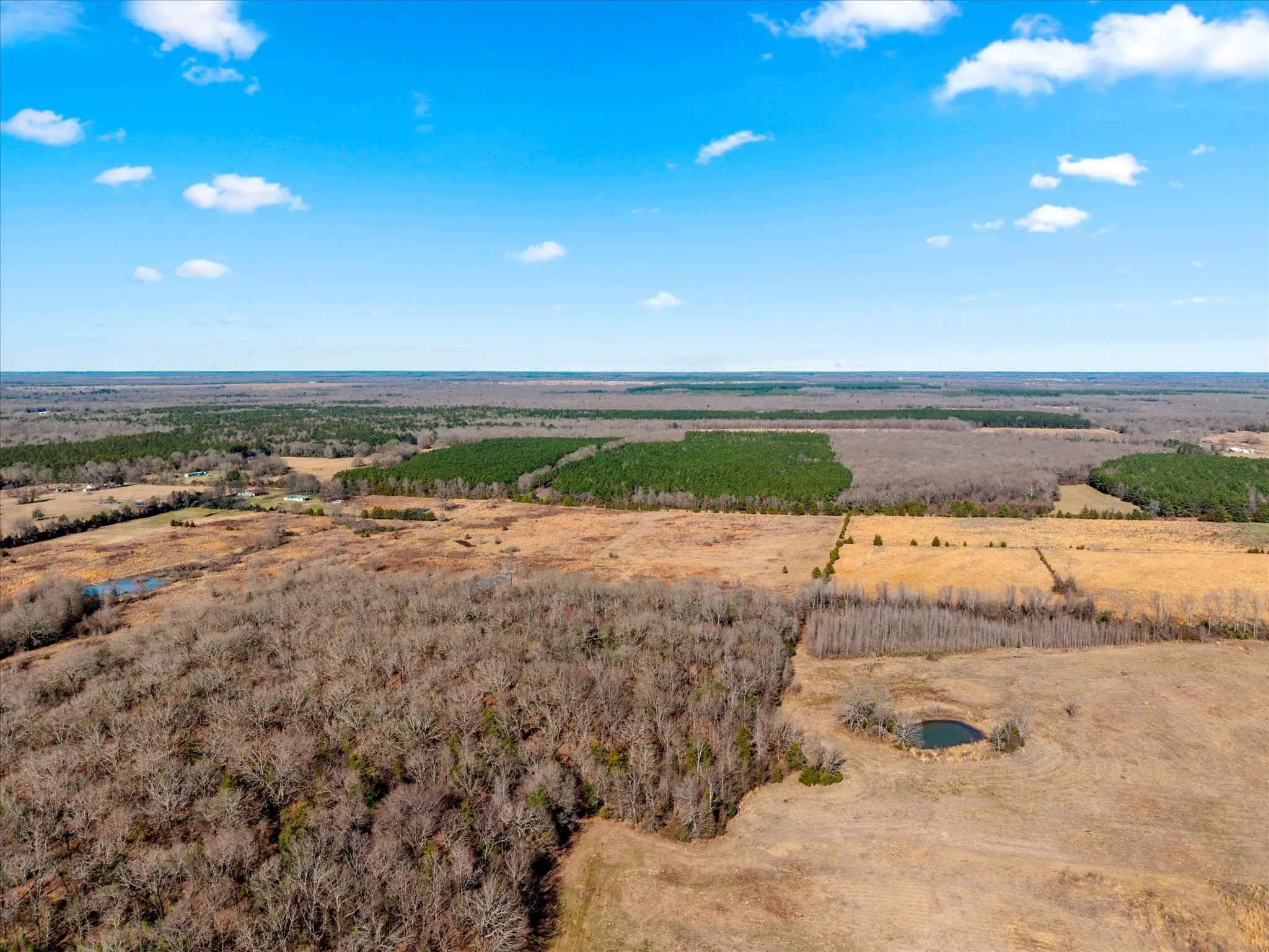 Unimproved Land For Sale in Bowie County , tbd Cr-4316, De Kalb, Texas 75559, 0, 0, Garage spaces, 0 Sqft, built in 0, Price $975,000, mls#21155417, Real Estate Agent in De Kalb, Homes For Sale in Bowie county, Homes For Sale in De Kalb, Realtor in De Kalb Texas, Real Estate Brokerage Independent Realty Texas, Luminita Cordes Realtor
