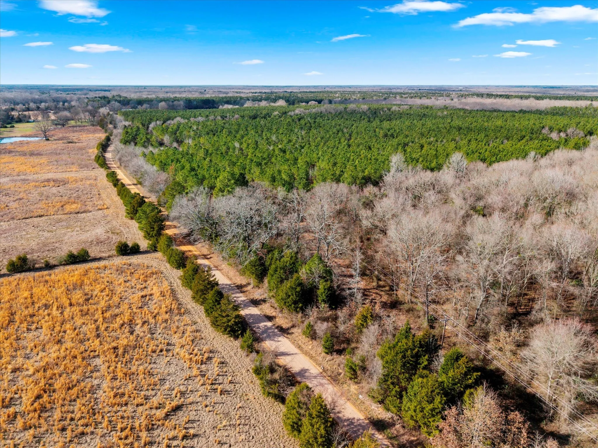 Unimproved Land For Sale in Bowie County , tbd Cr-4316, De Kalb, Texas 75559, 0, 0, Garage spaces, 0 Sqft, built in 0, Price $975,000, mls#21155417, Real Estate Agent in De Kalb, Homes For Sale in Bowie county, Homes For Sale in De Kalb, Realtor in De Kalb Texas, Real Estate Brokerage Independent Realty Texas, Luminita Cordes Realtor