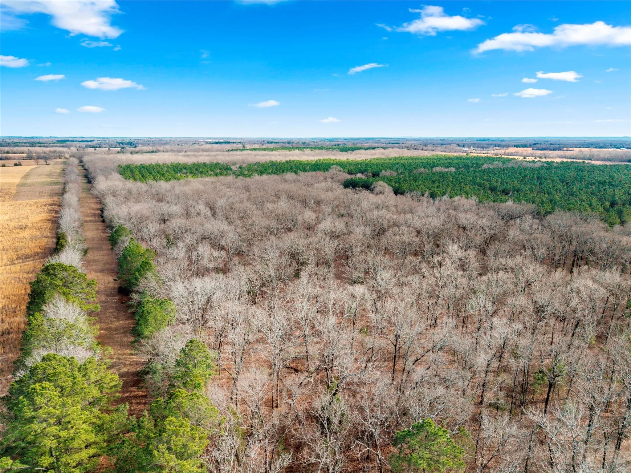 Unimproved Land For Sale in Bowie County , tbd Cr-4316, De Kalb, Texas 75559, 0, 0, Garage spaces, 0 Sqft, built in 0, Price $975,000, mls#21155417, Real Estate Agent in De Kalb, Homes For Sale in Bowie county, Homes For Sale in De Kalb, Realtor in De Kalb Texas, Real Estate Brokerage Independent Realty Texas, Luminita Cordes Realtor