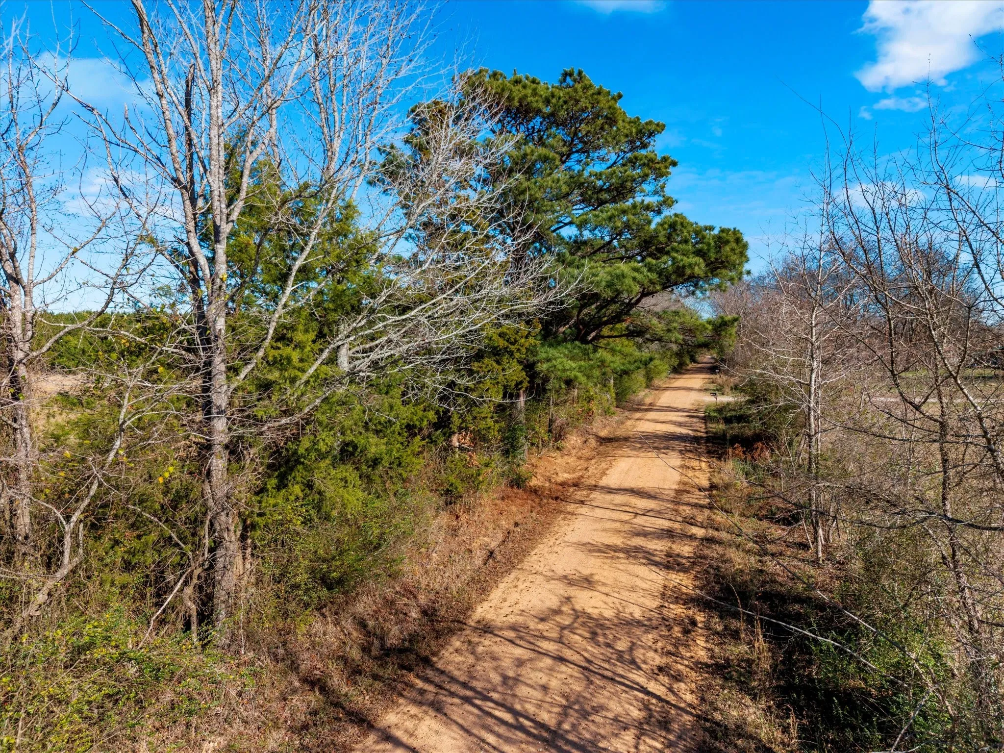 Unimproved Land For Sale in Bowie County , tbd Cr-4316, De Kalb, Texas 75559, 0, 0, Garage spaces, 0 Sqft, built in 0, Price $975,000, mls#21155417, Real Estate Agent in De Kalb, Homes For Sale in Bowie county, Homes For Sale in De Kalb, Realtor in De Kalb Texas, Real Estate Brokerage Independent Realty Texas, Luminita Cordes Realtor