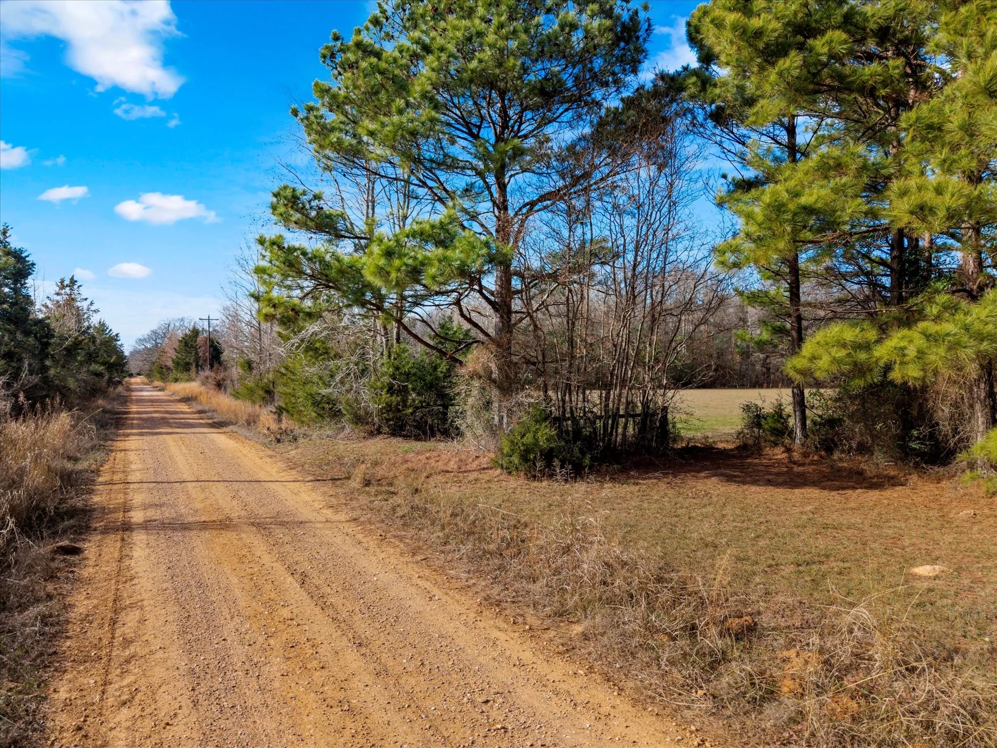 Unimproved Land For Sale in Bowie County , tbd Cr-4316, De Kalb, Texas 75559, 0, 0, Garage spaces, 0 Sqft, built in 0, Price $975,000, mls#21155417, Real Estate Agent in De Kalb, Homes For Sale in Bowie county, Homes For Sale in De Kalb, Realtor in De Kalb Texas, Real Estate Brokerage Independent Realty Texas, Luminita Cordes Realtor