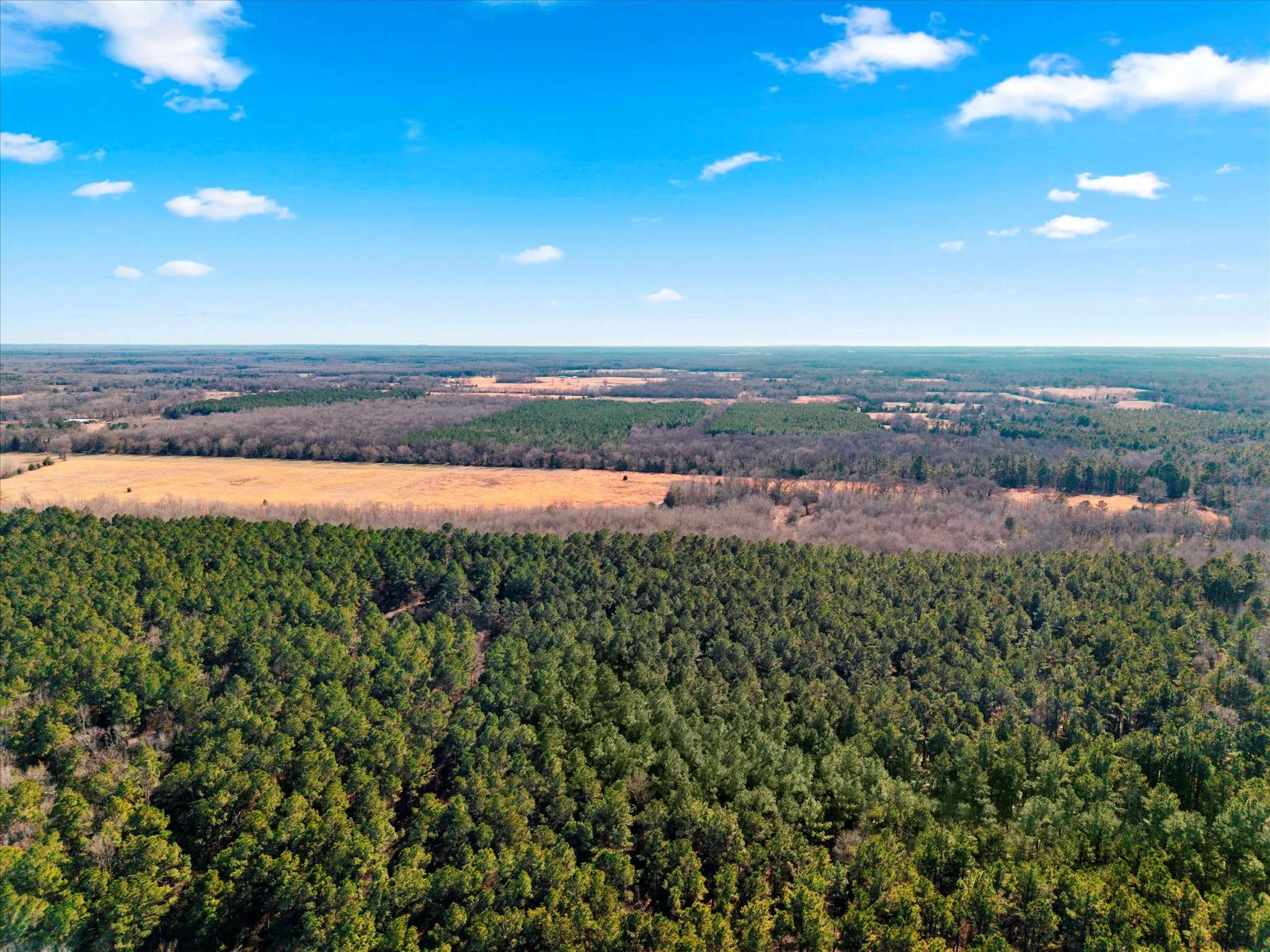 Unimproved Land For Sale in Bowie County , tbd Cr-4316, De Kalb, Texas 75559, 0, 0, Garage spaces, 0 Sqft, built in 0, Price $975,000, mls#21155417, Real Estate Agent in De Kalb, Homes For Sale in Bowie county, Homes For Sale in De Kalb, Realtor in De Kalb Texas, Real Estate Brokerage Independent Realty Texas, Luminita Cordes Realtor