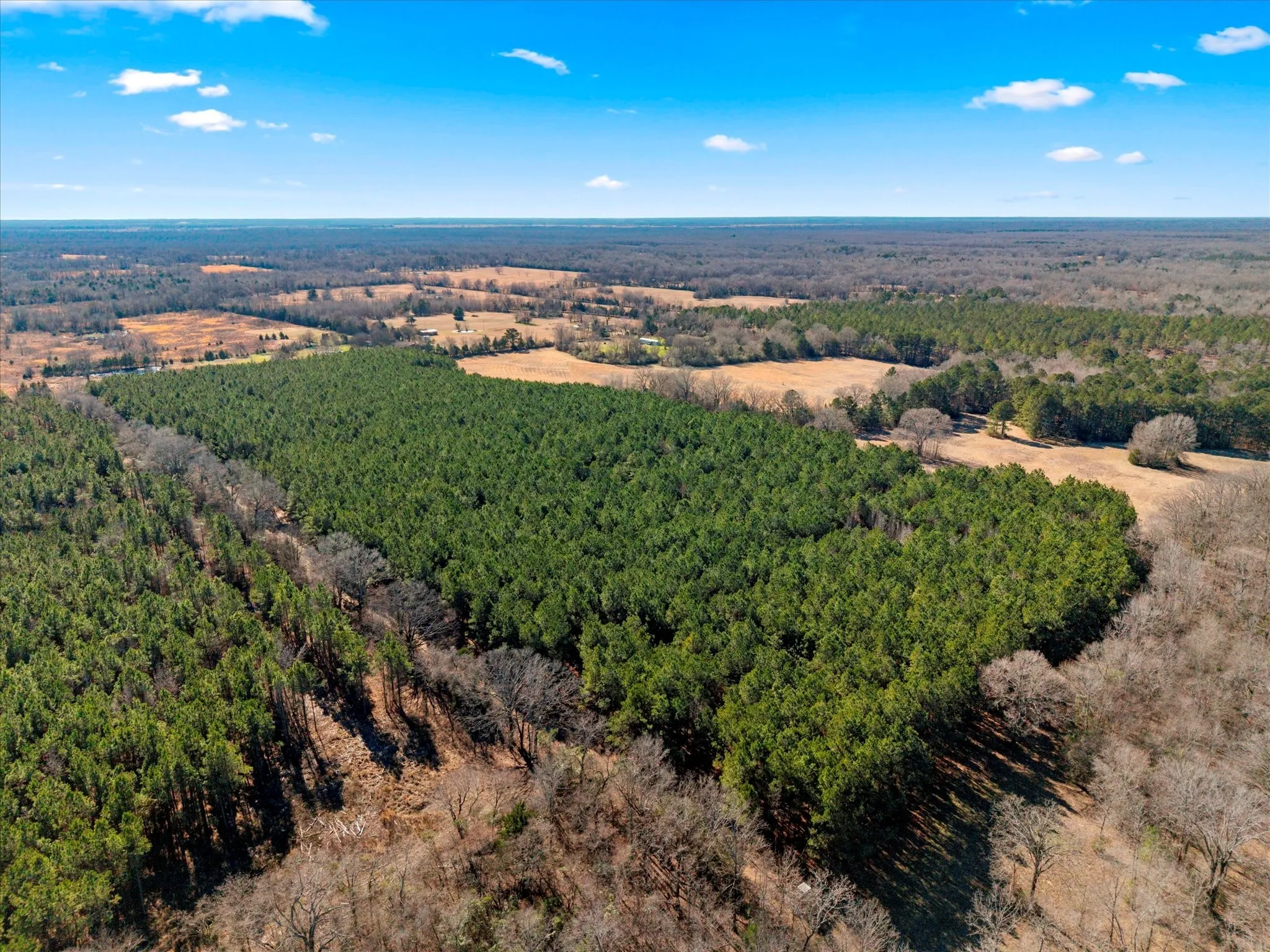Unimproved Land For Sale in Bowie County , tbd Cr-4316, De Kalb, Texas 75559, 0, 0, Garage spaces, 0 Sqft, built in 0, Price $975,000, mls#21155417, Real Estate Agent in De Kalb, Homes For Sale in Bowie county, Homes For Sale in De Kalb, Realtor in De Kalb Texas, Real Estate Brokerage Independent Realty Texas, Luminita Cordes Realtor