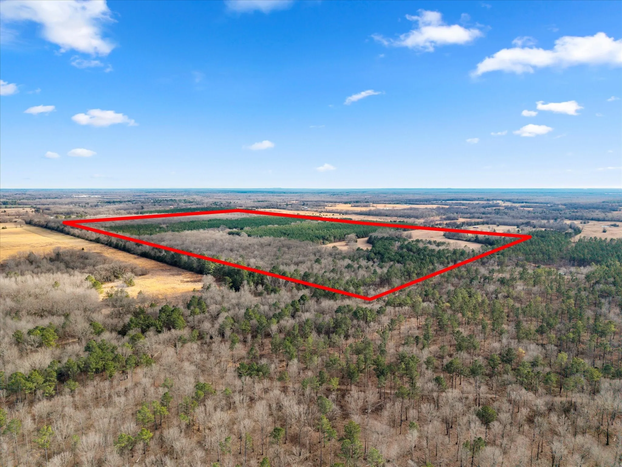Unimproved Land For Sale in Bowie County , tbd Cr-4316, De Kalb, Texas 75559, 0, 0, Garage spaces, 0 Sqft, built in 0, Price $975,000, mls#21155417, Real Estate Agent in De Kalb, Homes For Sale in Bowie county, Homes For Sale in De Kalb, Realtor in De Kalb Texas, Real Estate Brokerage Independent Realty Texas, Luminita Cordes Realtor