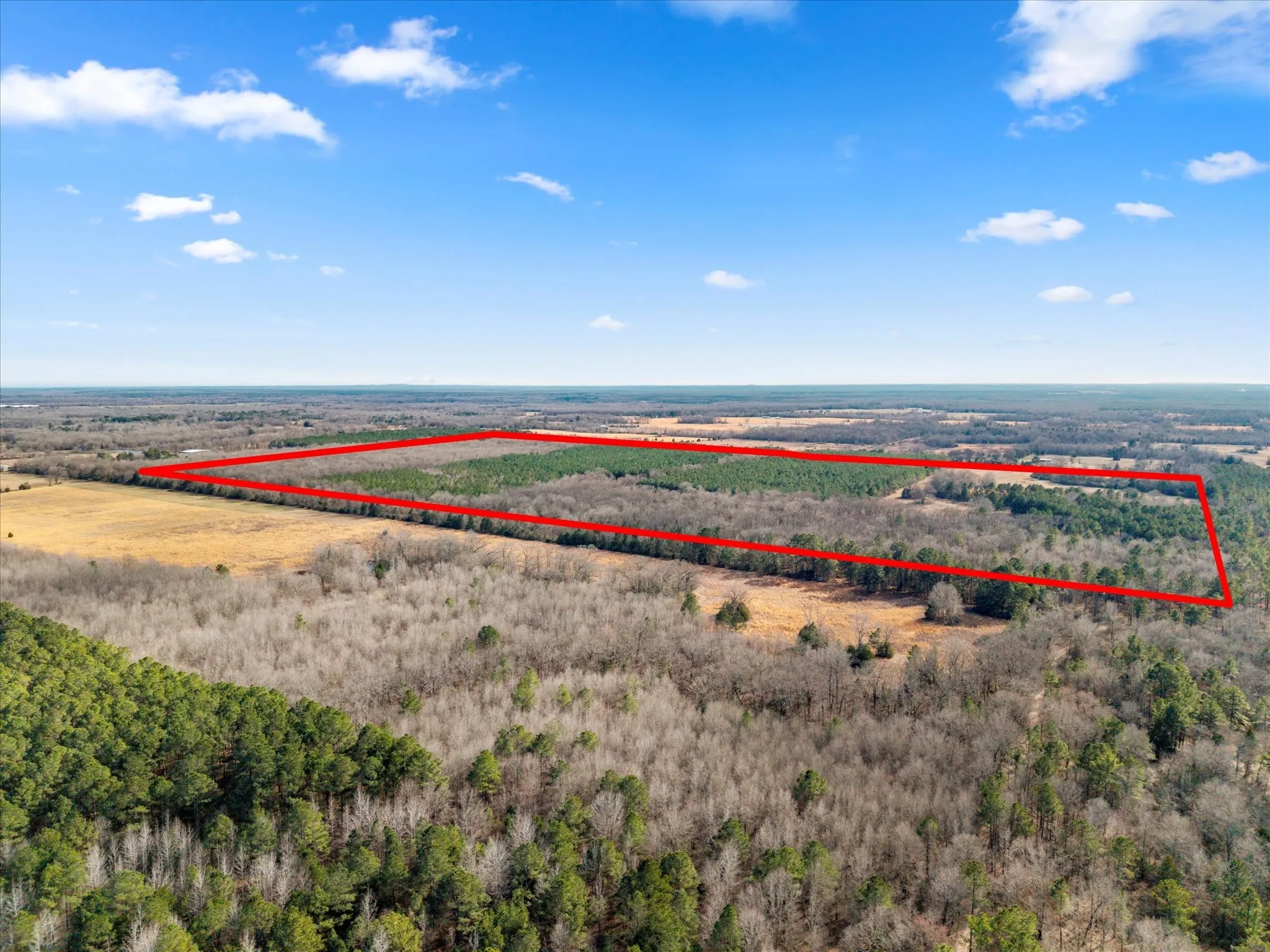 Unimproved Land For Sale in Bowie County , tbd Cr-4316, De Kalb, Texas 75559, 0, 0, Garage spaces, 0 Sqft, built in 0, Price $975,000, mls#21155417, Real Estate Agent in De Kalb, Homes For Sale in Bowie county, Homes For Sale in De Kalb, Realtor in De Kalb Texas, Real Estate Brokerage Independent Realty Texas, Luminita Cordes Realtor