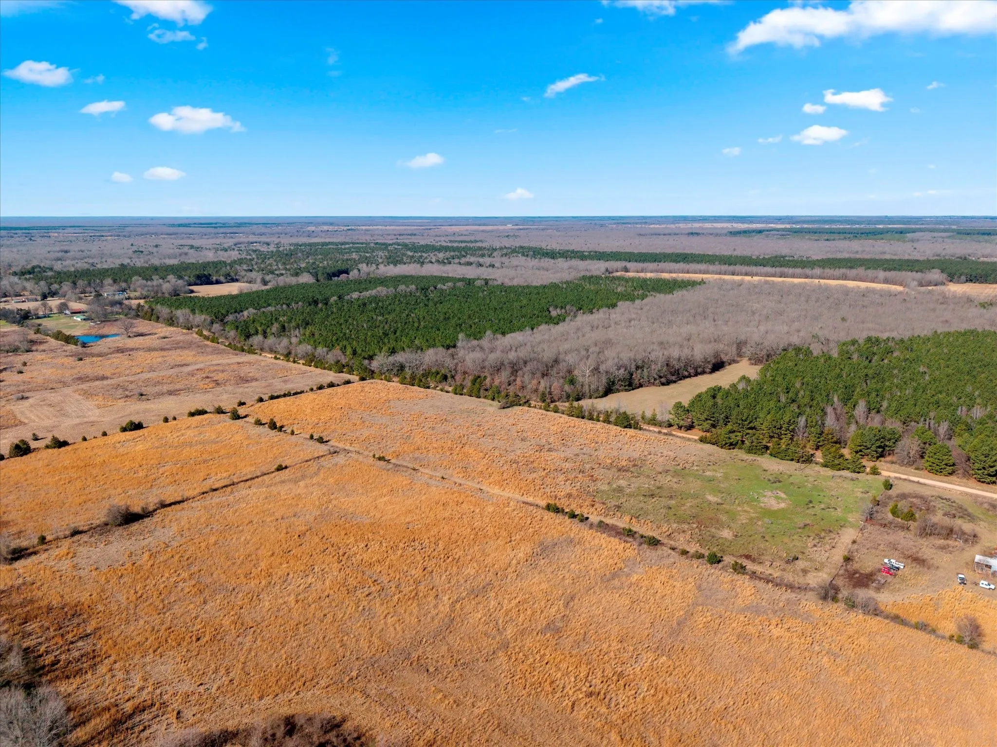 Unimproved Land For Sale in Bowie County , tbd Cr-4316, De Kalb, Texas 75559, 0, 0, Garage spaces, 0 Sqft, built in 0, Price $975,000, mls#21155417, Real Estate Agent in De Kalb, Homes For Sale in Bowie county, Homes For Sale in De Kalb, Realtor in De Kalb Texas, Real Estate Brokerage Independent Realty Texas, Luminita Cordes Realtor
