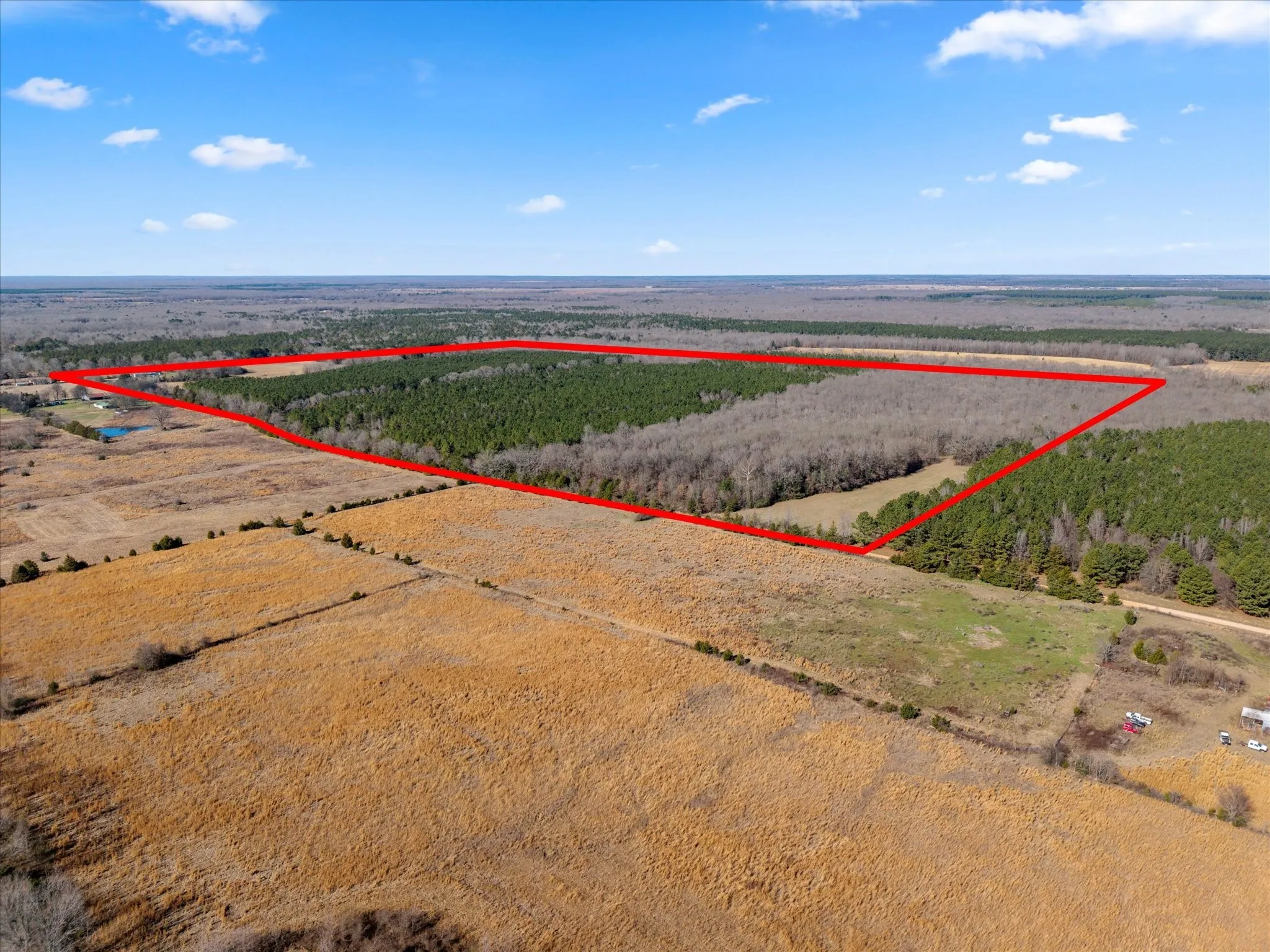 Unimproved Land For Sale in Bowie County , tbd Cr-4316, De Kalb, Texas 75559, 0, 0, Garage spaces, 0 Sqft, built in 0, Price $975,000, mls#21155417, Real Estate Agent in De Kalb, Homes For Sale in Bowie county, Homes For Sale in De Kalb, Realtor in De Kalb Texas, Real Estate Brokerage Independent Realty Texas, Luminita Cordes Realtor
