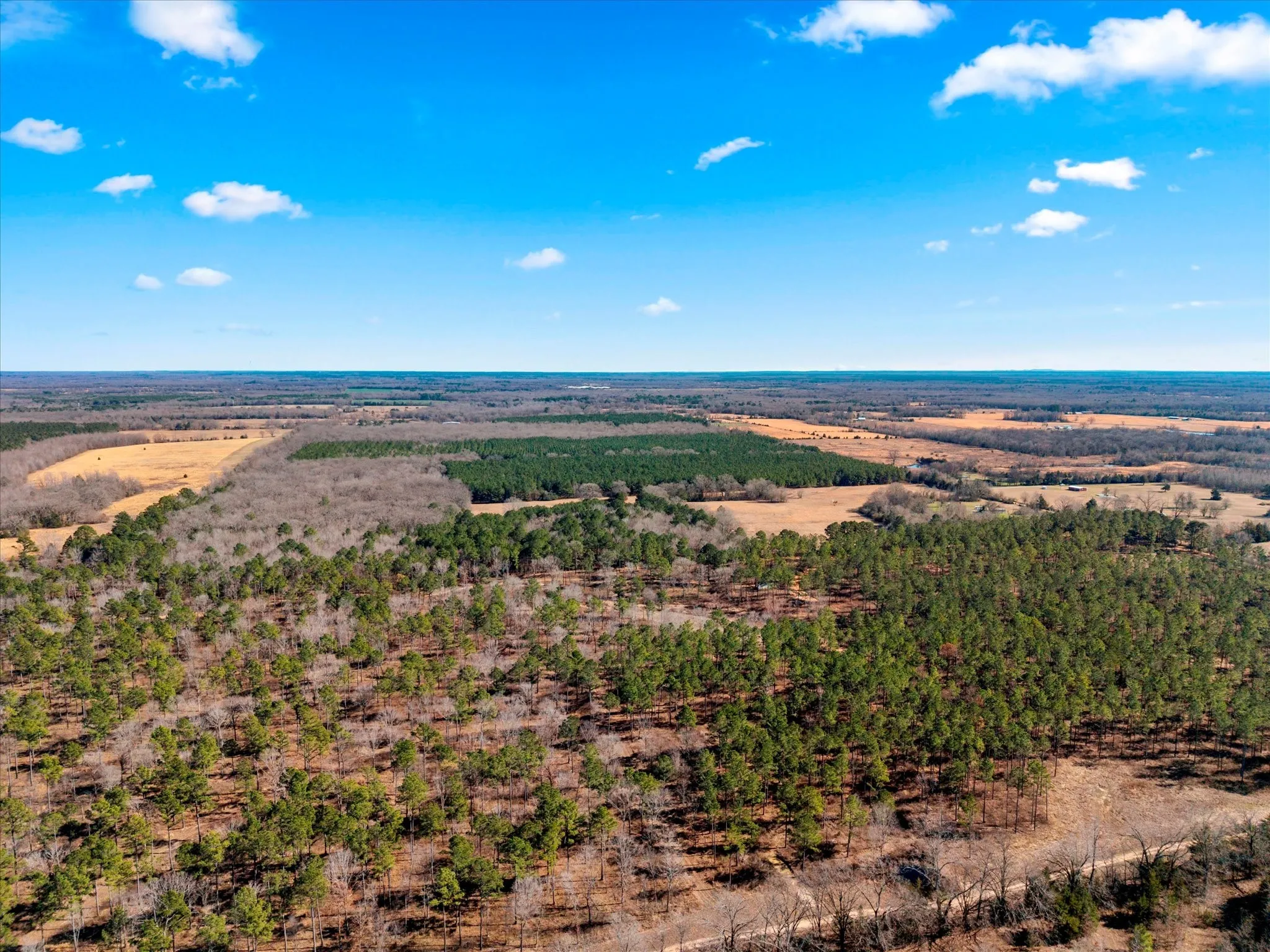 Unimproved Land For Sale in Bowie County , tbd Cr-4316, De Kalb, Texas 75559, 0, 0, Garage spaces, 0 Sqft, built in 0, Price $975,000, mls#21155417, Real Estate Agent in De Kalb, Homes For Sale in Bowie county, Homes For Sale in De Kalb, Realtor in De Kalb Texas, Real Estate Brokerage Independent Realty Texas, Luminita Cordes Realtor