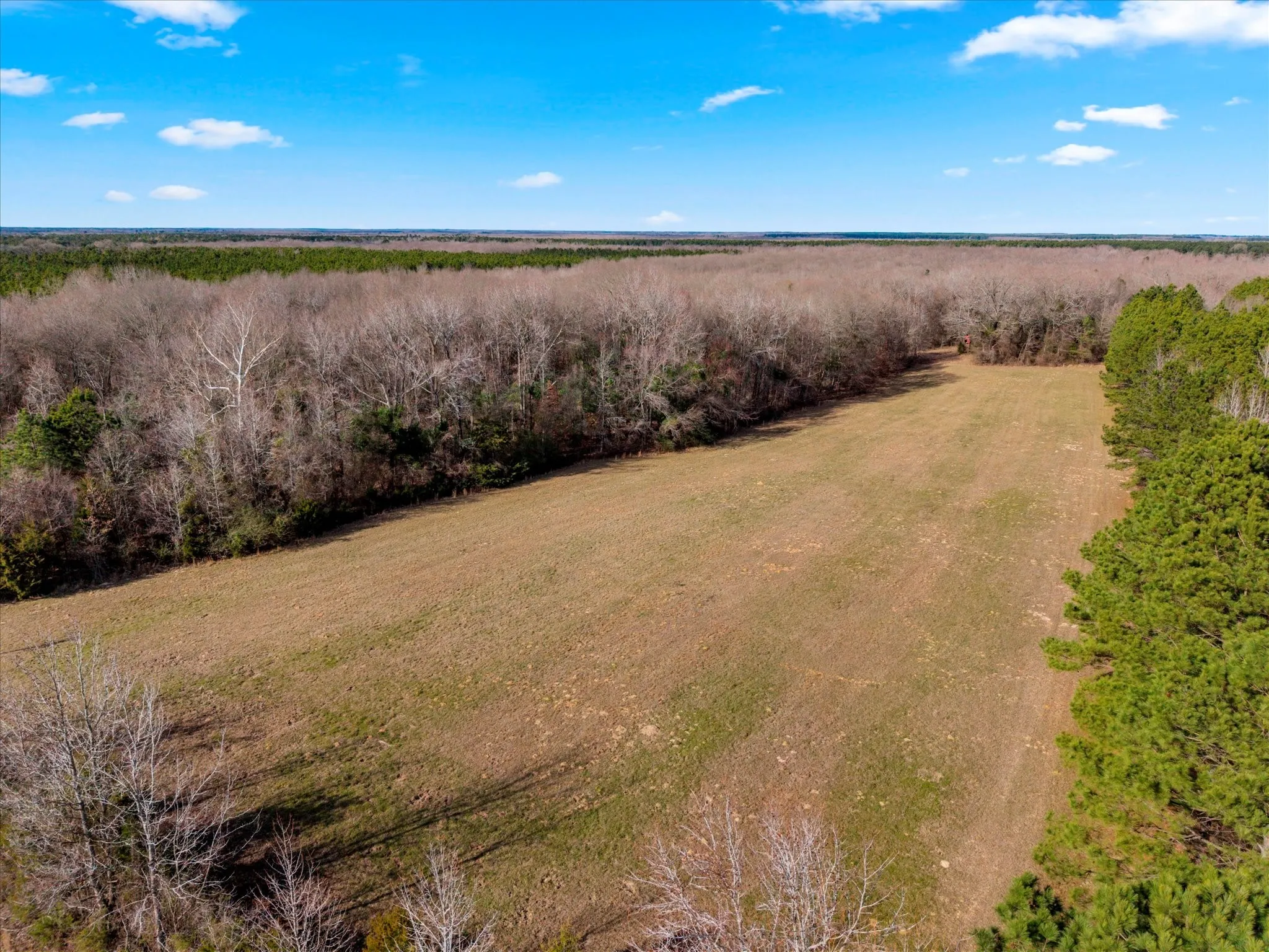 Unimproved Land For Sale in Bowie County , tbd Cr-4316, De Kalb, Texas 75559, 0, 0, Garage spaces, 0 Sqft, built in 0, Price $975,000, mls#21155417, Real Estate Agent in De Kalb, Homes For Sale in Bowie county, Homes For Sale in De Kalb, Realtor in De Kalb Texas, Real Estate Brokerage Independent Realty Texas, Luminita Cordes Realtor