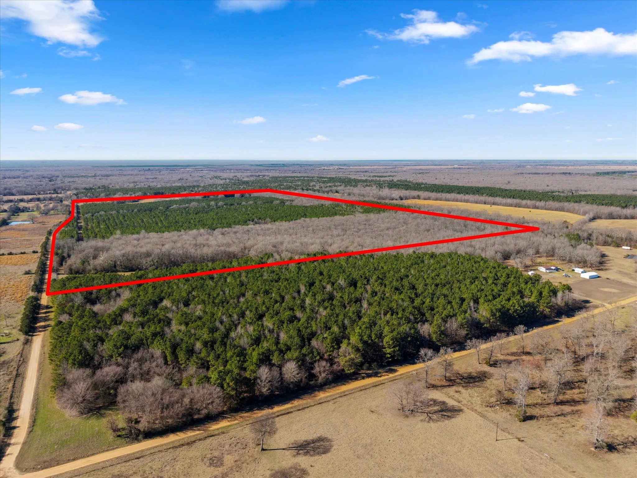 Unimproved Land For Sale in Bowie County , tbd Cr-4316, De Kalb, Texas 75559, 0, 0, Garage spaces, 0 Sqft, built in 0, Price $975,000, mls#21155417, Real Estate Agent in De Kalb, Homes For Sale in Bowie county, Homes For Sale in De Kalb, Realtor in De Kalb Texas, Real Estate Brokerage Independent Realty Texas, Luminita Cordes Realtor