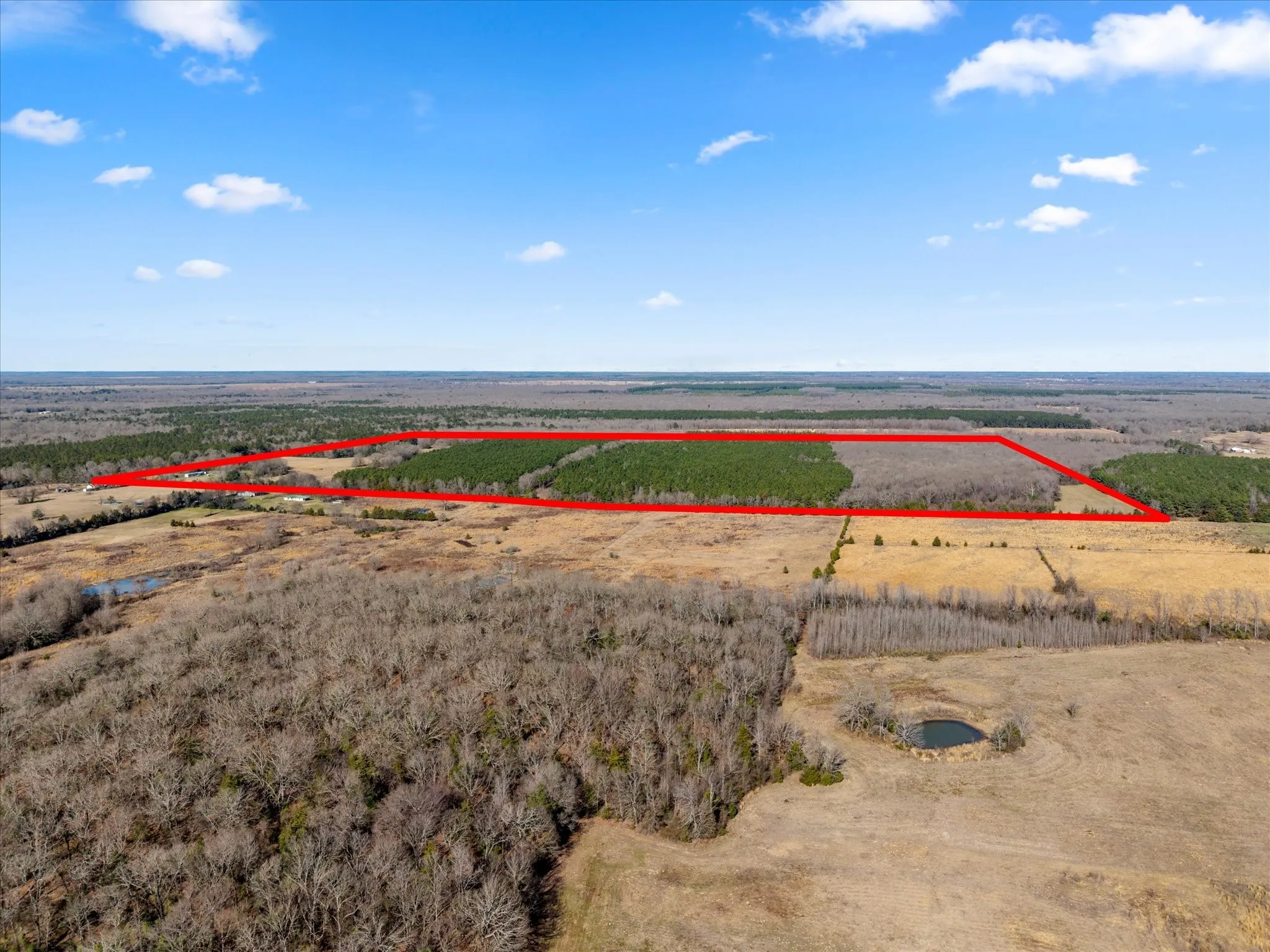 Unimproved Land For Sale in Bowie County , tbd Cr-4316, De Kalb, Texas 75559, 0, 0, Garage spaces, 0 Sqft, built in 0, Price $975,000, mls#21155417, Real Estate Agent in De Kalb, Homes For Sale in Bowie county, Homes For Sale in De Kalb, Realtor in De Kalb Texas, Real Estate Brokerage Independent Realty Texas, Luminita Cordes Realtor