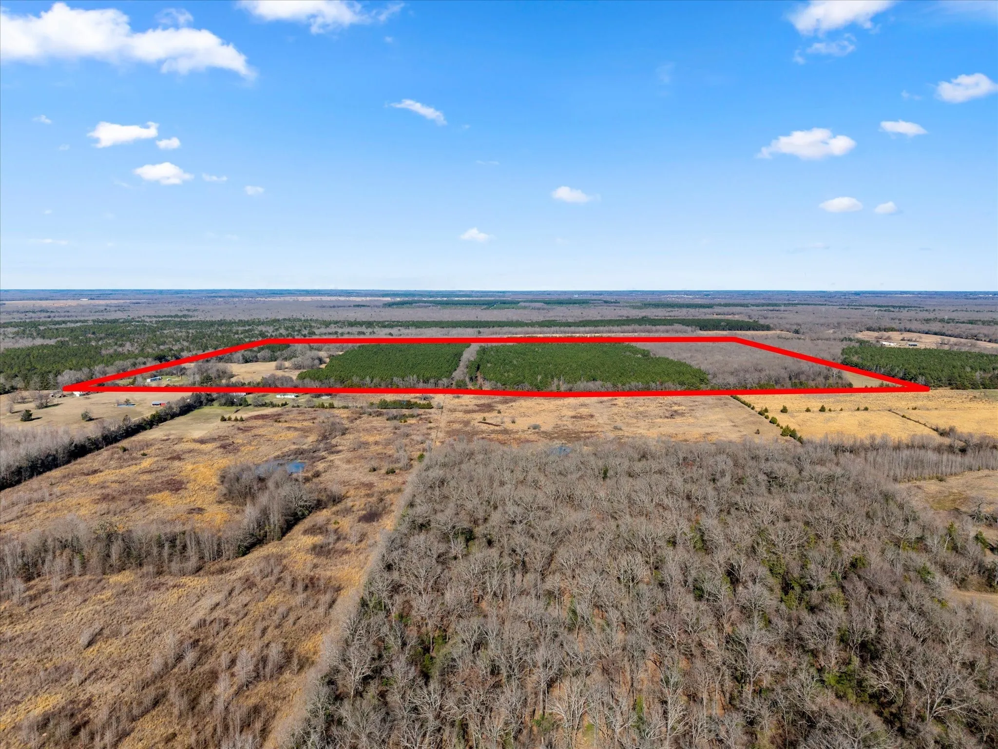 Unimproved Land For Sale in Bowie County , tbd Cr-4316, De Kalb, Texas 75559, 0, 0, Garage spaces, 0 Sqft, built in 0, Price $975,000, mls#21155417, Real Estate Agent in De Kalb, Homes For Sale in Bowie county, Homes For Sale in De Kalb, Realtor in De Kalb Texas, Real Estate Brokerage Independent Realty Texas, Luminita Cordes Realtor