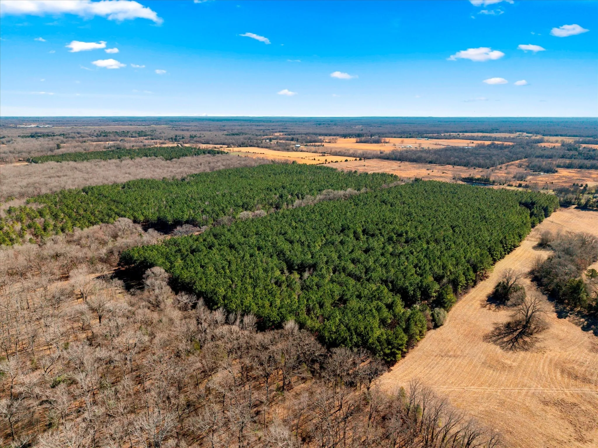Unimproved Land For Sale in Bowie County , tbd Cr-4316, De Kalb, Texas 75559, 0, 0, Garage spaces, 0 Sqft, built in 0, Price $975,000, mls#21155417, Real Estate Agent in De Kalb, Homes For Sale in Bowie county, Homes For Sale in De Kalb, Realtor in De Kalb Texas, Real Estate Brokerage Independent Realty Texas, Luminita Cordes Realtor