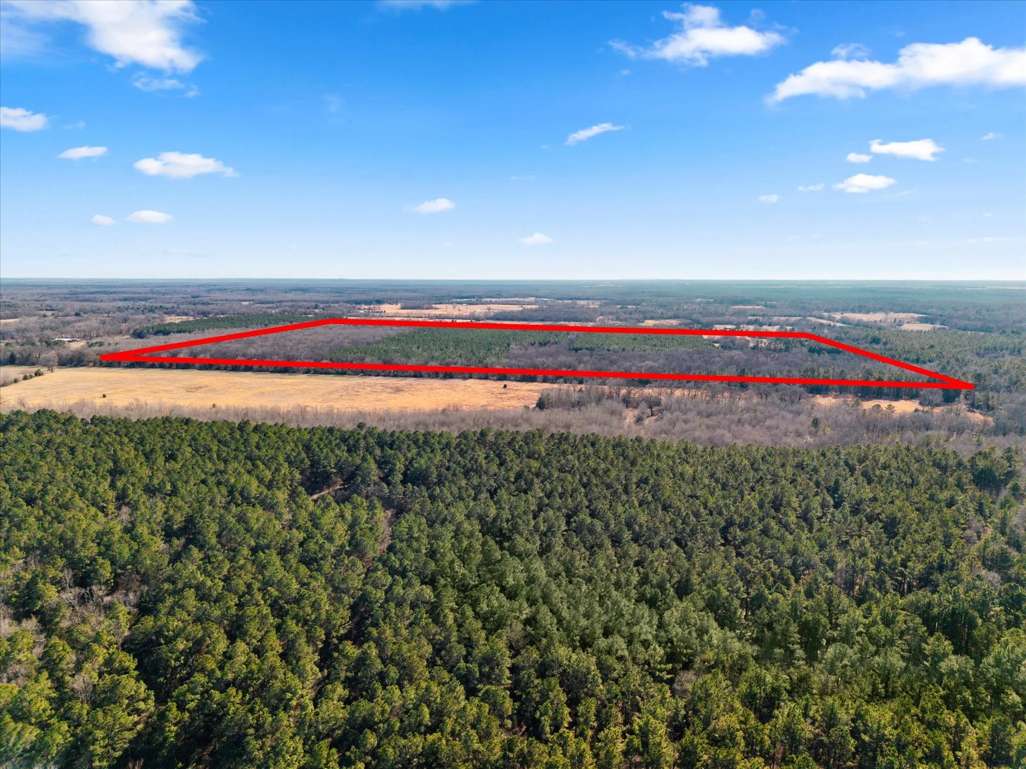 Unimproved Land For Sale in Bowie County , tbd Cr-4316, De Kalb, Texas 75559, 0, 0, Garage spaces, 0 Sqft, built in 0, Price $975,000, mls#21155417, Real Estate Agent in De Kalb, Homes For Sale in Bowie county, Homes For Sale in De Kalb, Realtor in De Kalb Texas, Real Estate Brokerage Independent Realty Texas, Luminita Cordes Realtor