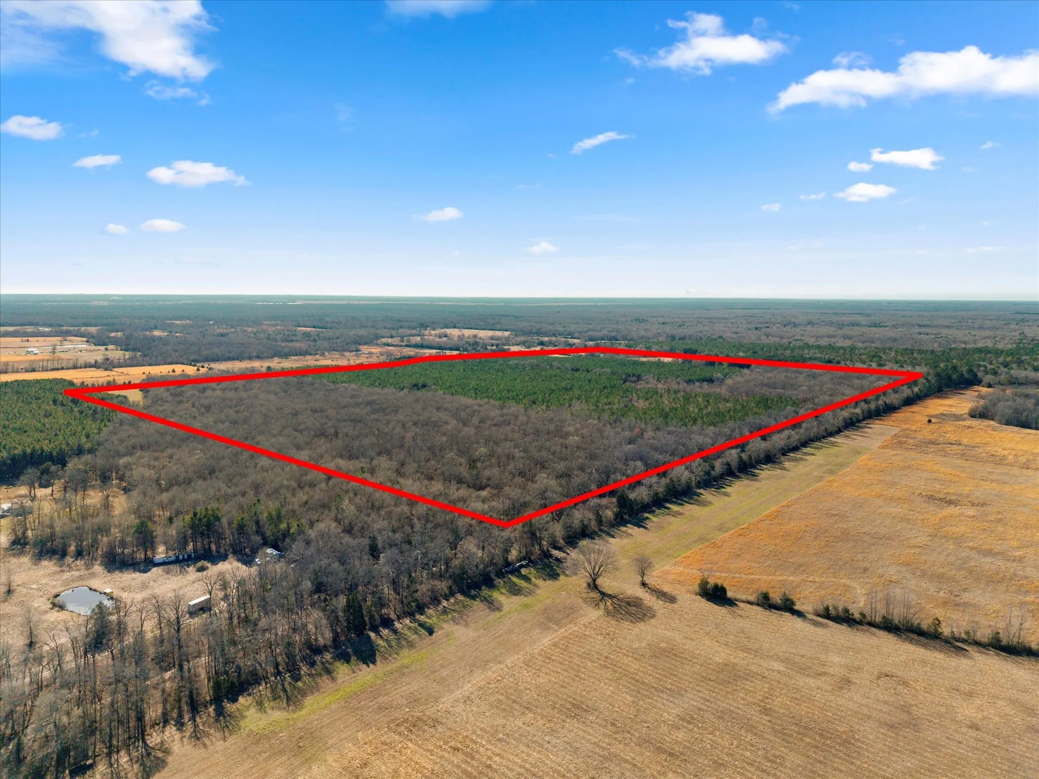 Unimproved Land For Sale in Bowie County , tbd Cr-4316, De Kalb, Texas 75559, 0, 0, Garage spaces, 0 Sqft, built in 0, Price $975,000, mls#21155417, Real Estate Agent in De Kalb, Homes For Sale in Bowie county, Homes For Sale in De Kalb, Realtor in De Kalb Texas, Real Estate Brokerage Independent Realty Texas, Luminita Cordes Realtor