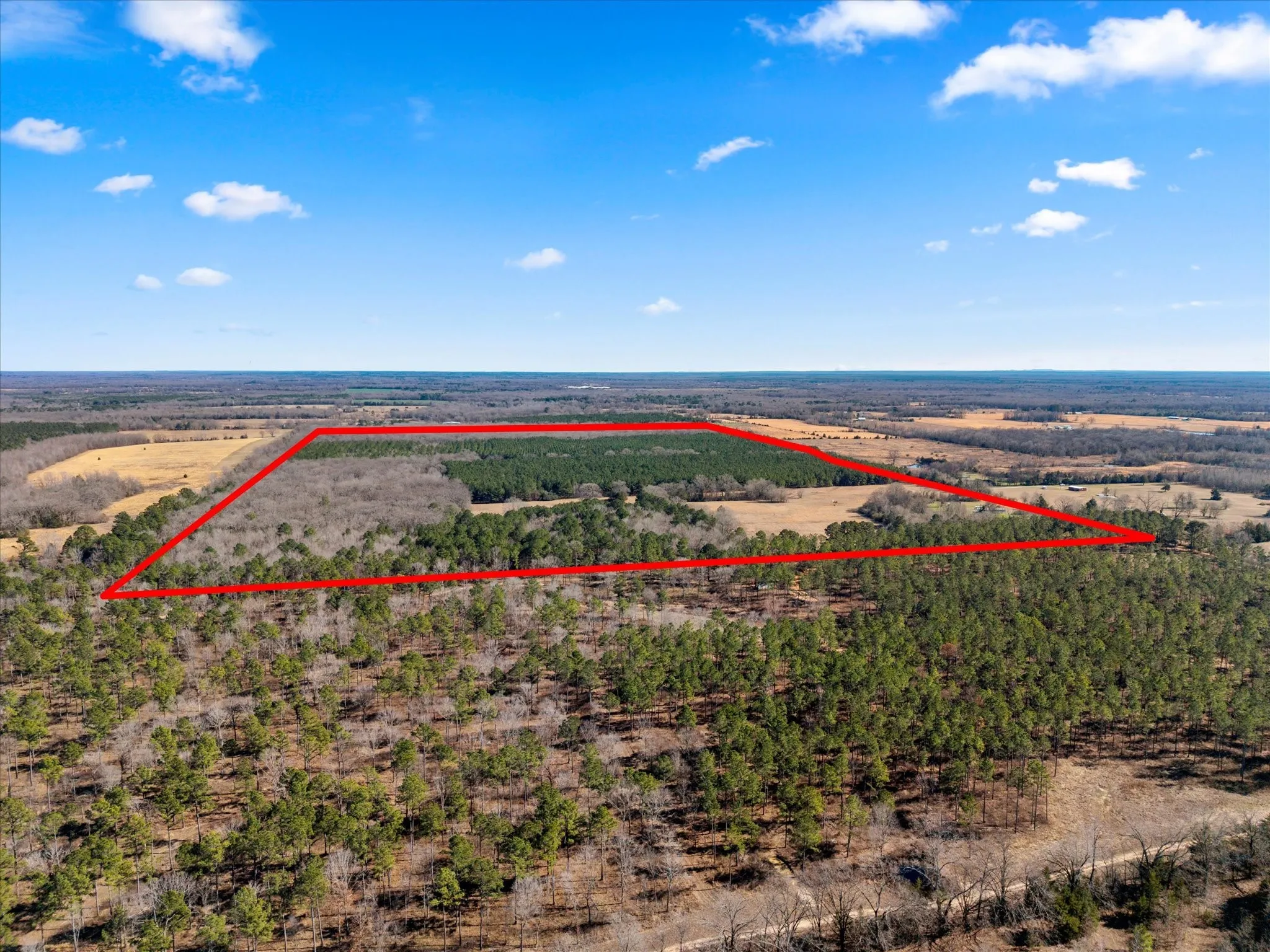 Unimproved Land For Sale in Bowie County , tbd Cr-4316, De Kalb, Texas 75559, 0, 0, Garage spaces, 0 Sqft, built in 0, Price $975,000, mls#21155417, Real Estate Agent in De Kalb, Homes For Sale in Bowie county, Homes For Sale in De Kalb, Realtor in De Kalb Texas, Real Estate Brokerage Independent Realty Texas, Luminita Cordes Realtor