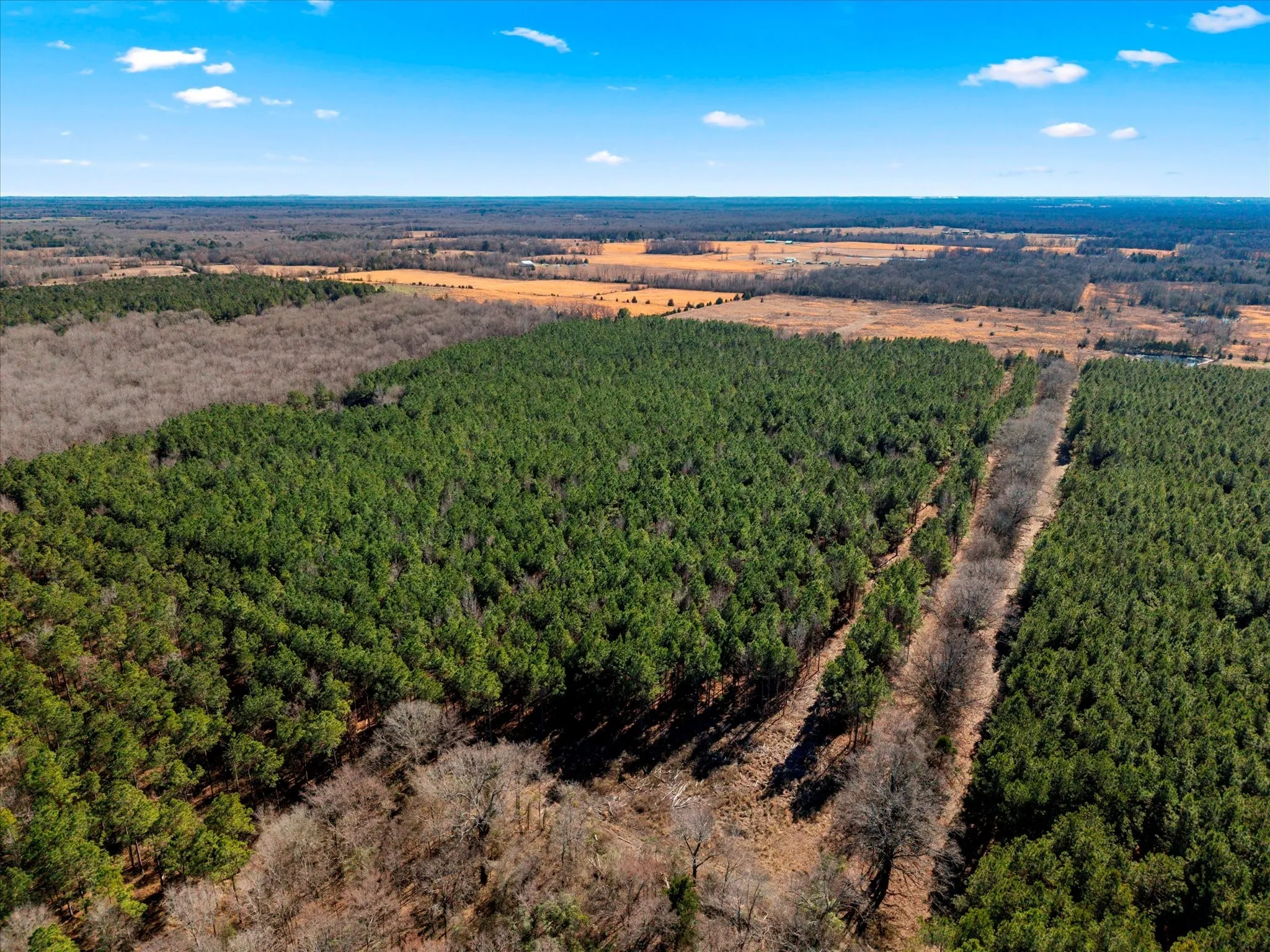 Unimproved Land For Sale in Bowie County , tbd Cr-4316, De Kalb, Texas 75559, 0, 0, Garage spaces, 0 Sqft, built in 0, Price $975,000, mls#21155417, Real Estate Agent in De Kalb, Homes For Sale in Bowie county, Homes For Sale in De Kalb, Realtor in De Kalb Texas, Real Estate Brokerage Independent Realty Texas, Luminita Cordes Realtor