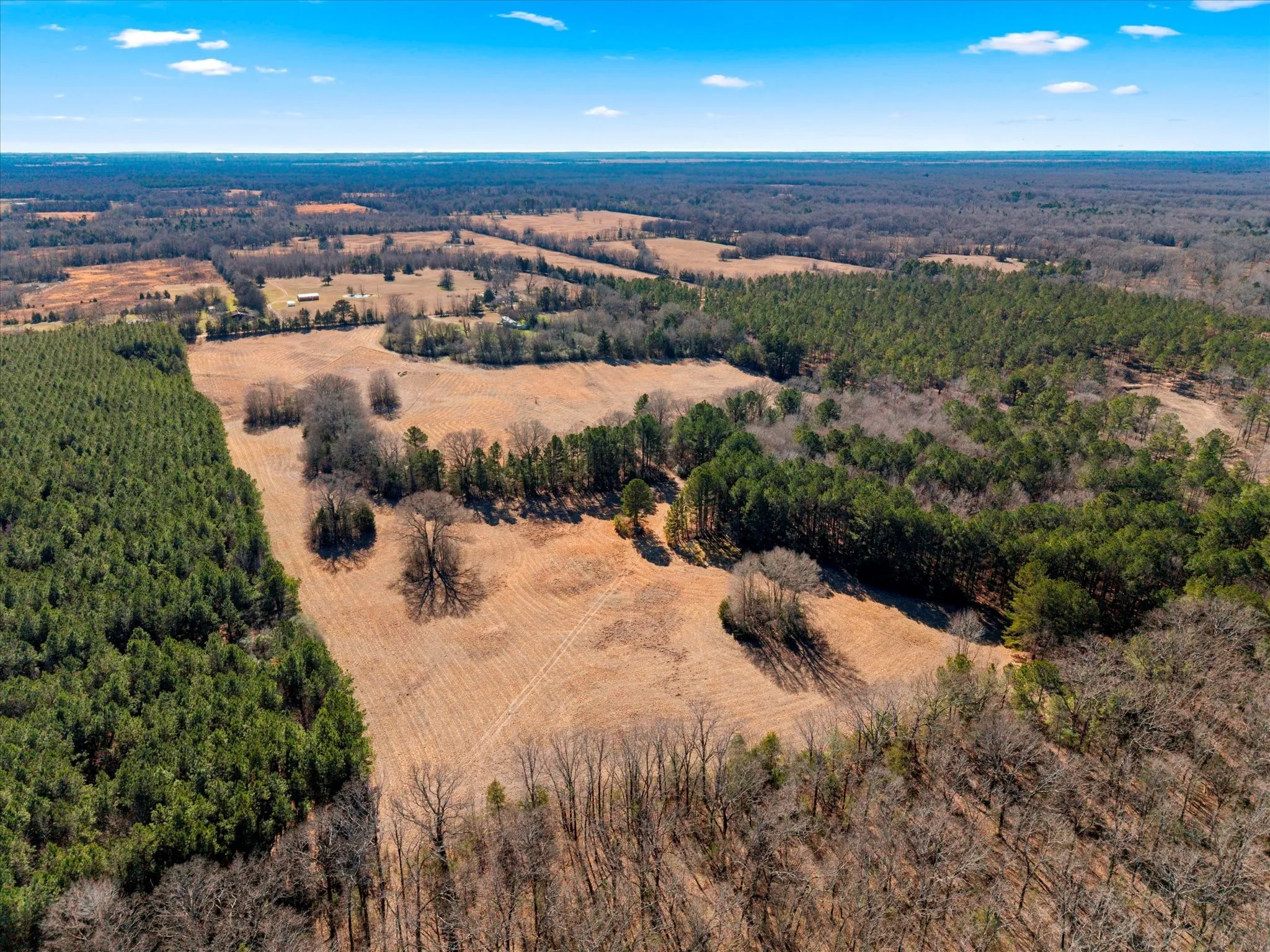 Unimproved Land For Sale in Bowie County , tbd Cr-4316, De Kalb, Texas 75559, 0, 0, Garage spaces, 0 Sqft, built in 0, Price $975,000, mls#21155417, Real Estate Agent in De Kalb, Homes For Sale in Bowie county, Homes For Sale in De Kalb, Realtor in De Kalb Texas, Real Estate Brokerage Independent Realty Texas, Luminita Cordes Realtor