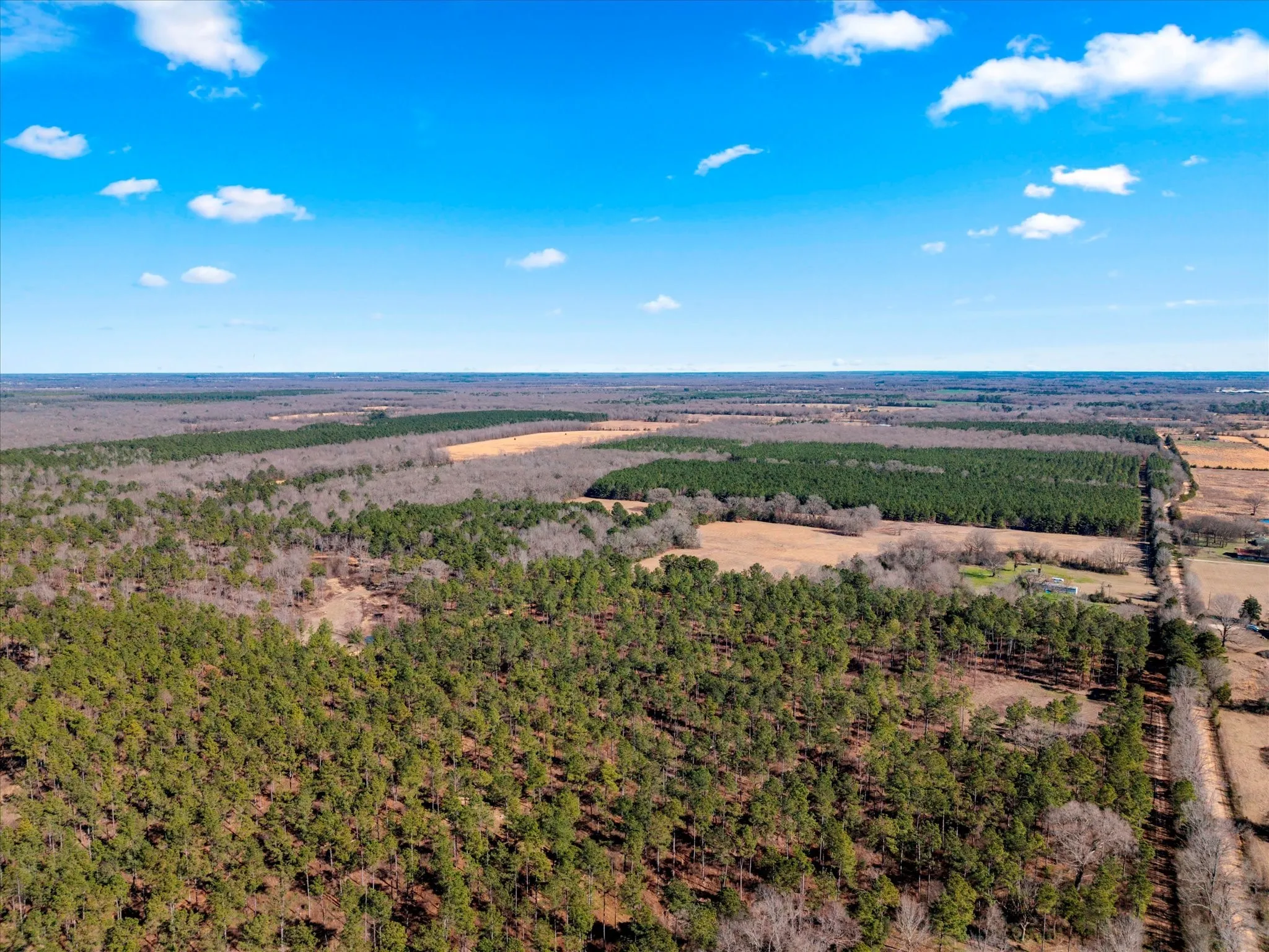 Unimproved Land For Sale in Bowie County , tbd Cr-4316, De Kalb, Texas 75559, 0, 0, Garage spaces, 0 Sqft, built in 0, Price $975,000, mls#21155417, Real Estate Agent in De Kalb, Homes For Sale in Bowie county, Homes For Sale in De Kalb, Realtor in De Kalb Texas, Real Estate Brokerage Independent Realty Texas, Luminita Cordes Realtor