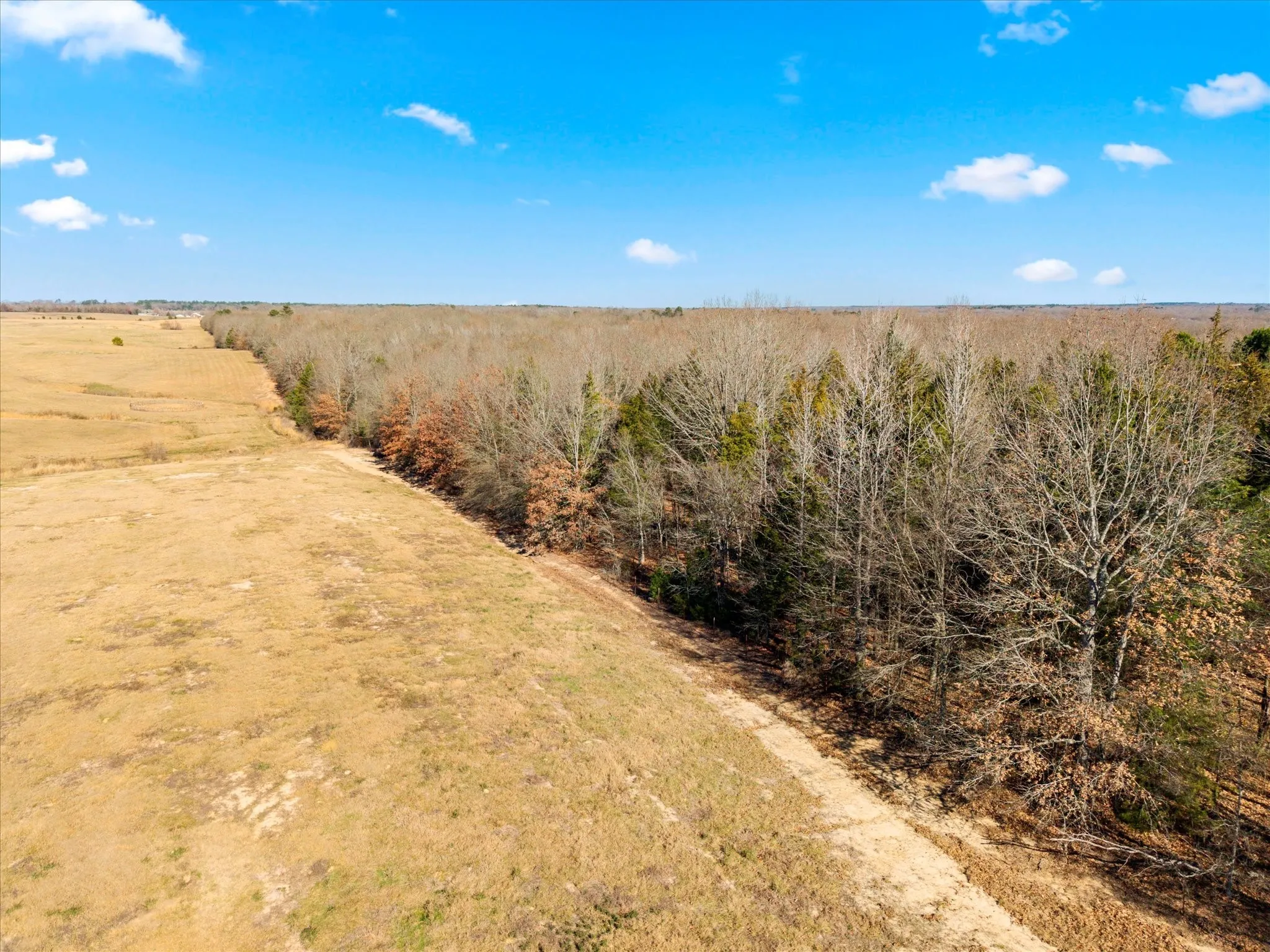 Unimproved Land For Sale in Titus County , TBD Us-271 12, Mt Pleasant, Texas 75455, 0, 0, Garage spaces, 0 Sqft, built in 0, Price $640,000, mls#21155431, Real Estate Agent in Mt Pleasant, Homes For Sale in Titus county, Homes For Sale in Mt Pleasant, Realtor in Mt Pleasant Texas, Real Estate Brokerage Independent Realty Texas, Luminita Cordes Realtor