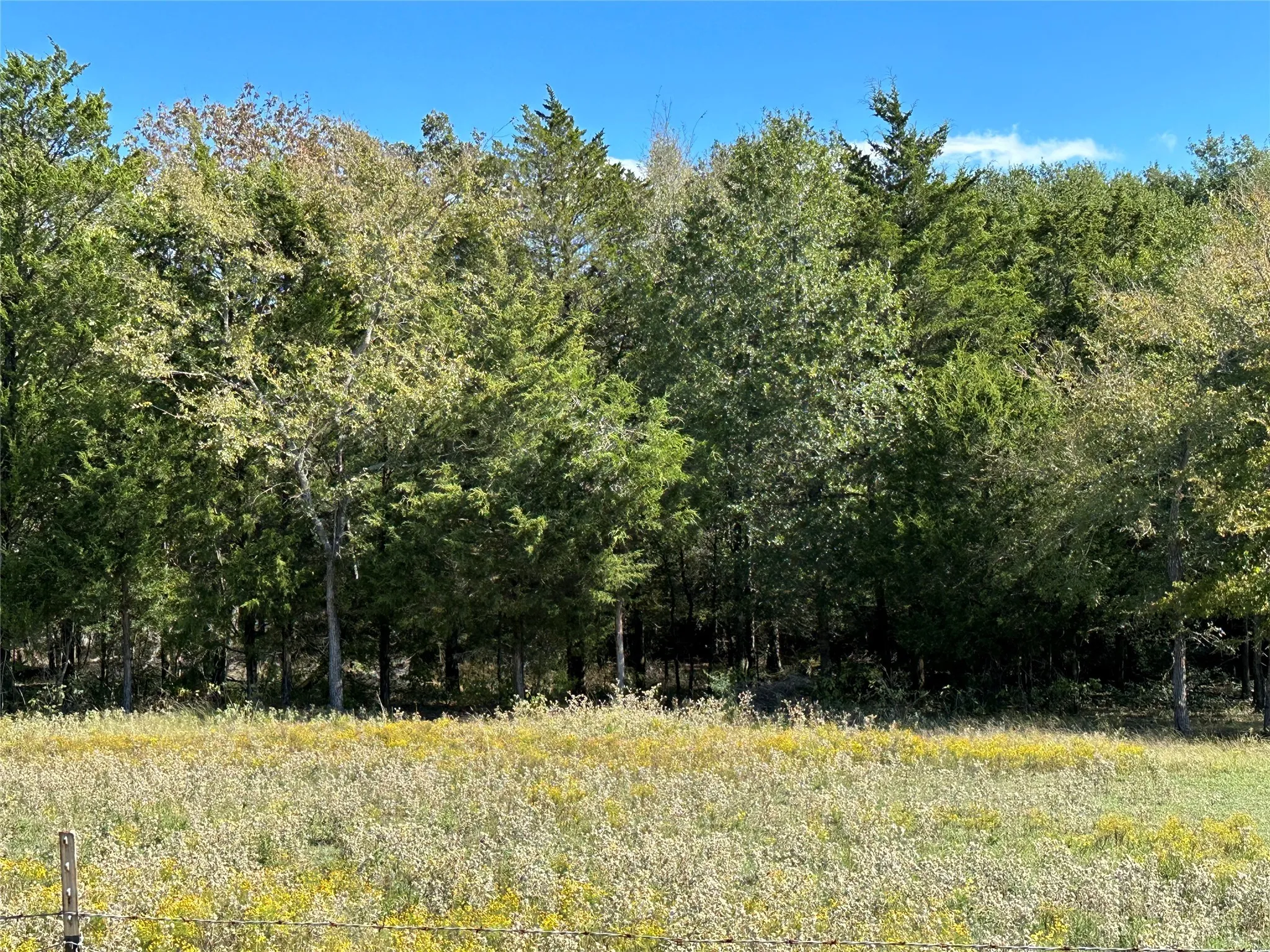 Unimproved Land For Sale in Henderson County , 2924 CR 1403, Malakoff, Texas 75148, 0, 0, Garage spaces, 0 Sqft, built in 0, mls#21155620, Real Estate Agent in Malakoff, Homes For Sale in Henderson county, Homes For Sale in Malakoff, Realtor in Malakoff Texas, Real Estate Brokerage Independent Realty Texas, Luminita Cordes Realtor