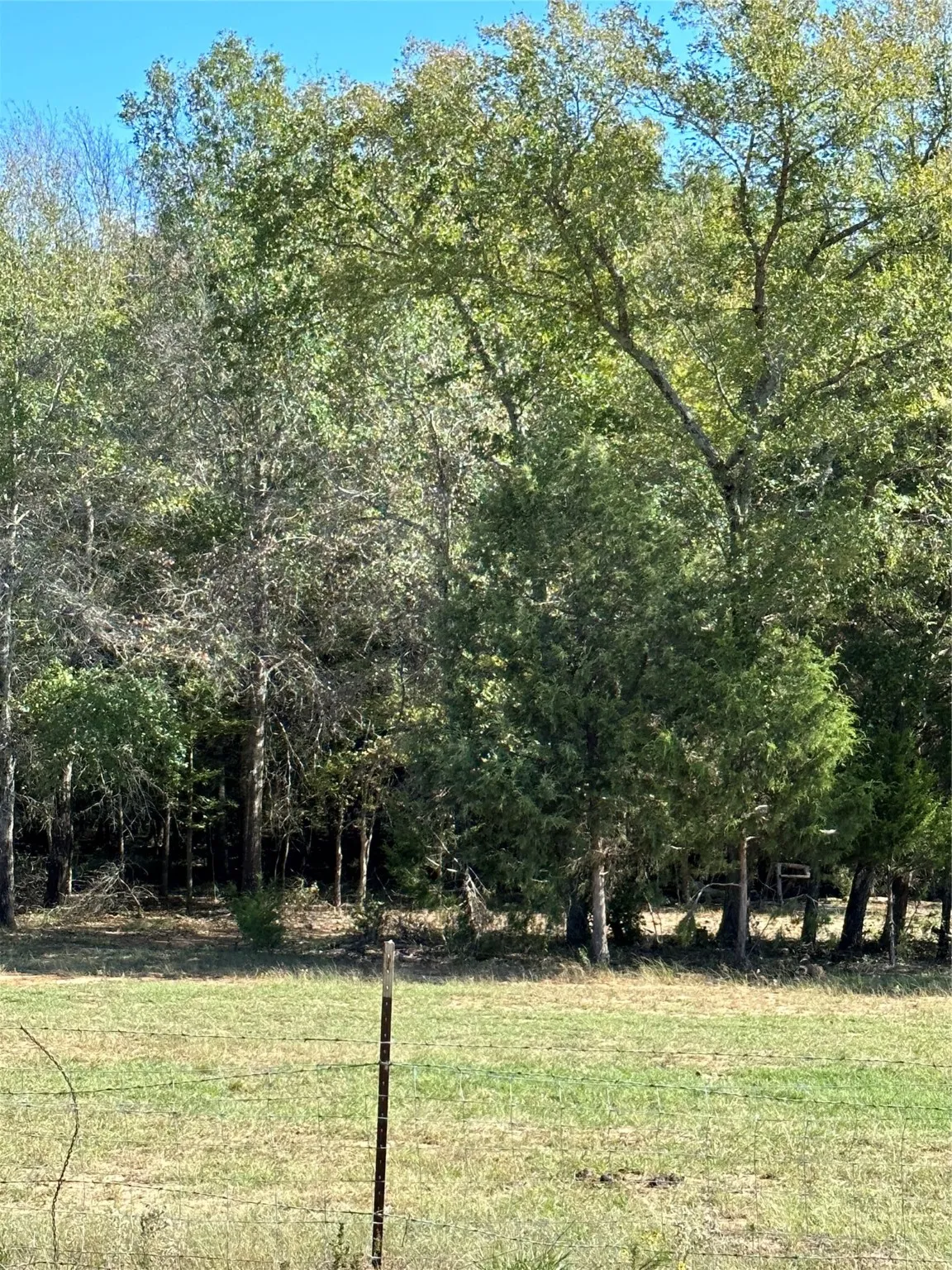 Unimproved Land For Sale in Henderson County , 2924 CR 1403, Malakoff, Texas 75148, 0, 0, Garage spaces, 0 Sqft, built in 0, mls#21155620, Real Estate Agent in Malakoff, Homes For Sale in Henderson county, Homes For Sale in Malakoff, Realtor in Malakoff Texas, Real Estate Brokerage Independent Realty Texas, Luminita Cordes Realtor