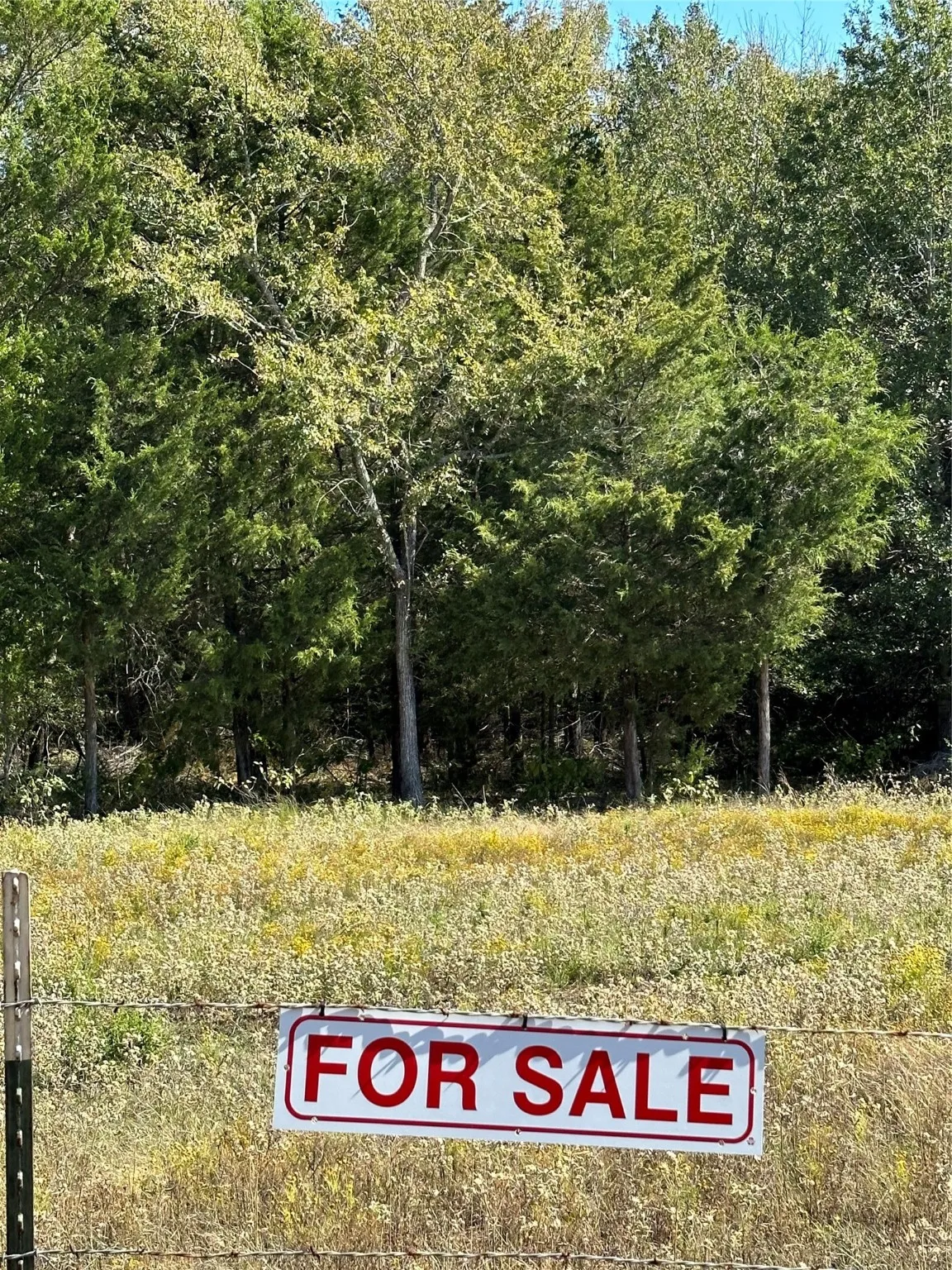 Unimproved Land For Sale in Henderson County , 2924 CR 1403, Malakoff, Texas 75148, 0, 0, Garage spaces, 0 Sqft, built in 0, mls#21155620, Real Estate Agent in Malakoff, Homes For Sale in Henderson county, Homes For Sale in Malakoff, Realtor in Malakoff Texas, Real Estate Brokerage Independent Realty Texas, Luminita Cordes Realtor