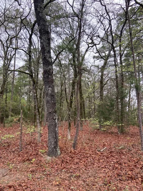 Improved Land For Sale in Wood County , 2529 CR 3540, Hawkins, Texas 75765, 0, 0, Garage spaces, 0 Sqft, built in 0, Price $92,000, mls#21150191, Real Estate Agent in Hawkins, Homes For Sale in Wood county, Homes For Sale in Hawkins, Realtor in Hawkins Texas, Real Estate Brokerage Independent Realty Texas, Luminita Cordes Realtor