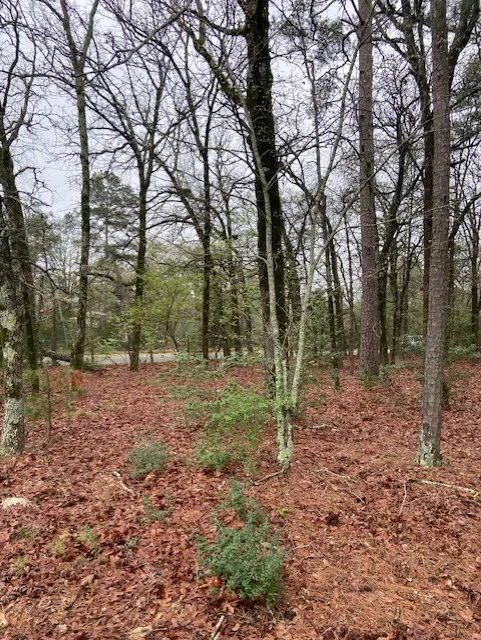 Improved Land For Sale in Wood County , 2529 CR 3540, Hawkins, Texas 75765, 0, 0, Garage spaces, 0 Sqft, built in 0, Price $92,000, mls#21150191, Real Estate Agent in Hawkins, Homes For Sale in Wood county, Homes For Sale in Hawkins, Realtor in Hawkins Texas, Real Estate Brokerage Independent Realty Texas, Luminita Cordes Realtor