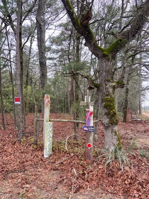 Improved Land For Sale in Wood County , 2529 CR 3540, Hawkins, Texas 75765, 0, 0, Garage spaces, 0 Sqft, built in 0, Price $92,000, mls#21150191, Real Estate Agent in Hawkins, Homes For Sale in Wood county, Homes For Sale in Hawkins, Realtor in Hawkins Texas, Real Estate Brokerage Independent Realty Texas, Luminita Cordes Realtor
