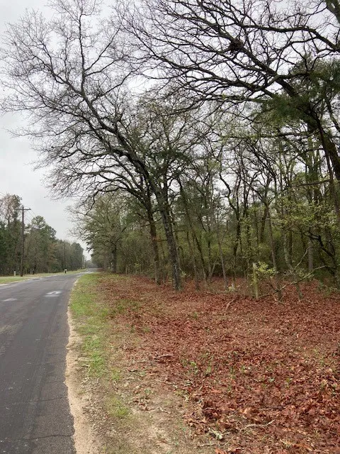 Improved Land For Sale in Wood County , 2529 CR 3540, Hawkins, Texas 75765, 0, 0, Garage spaces, 0 Sqft, built in 0, Price $92,000, mls#21150191, Real Estate Agent in Hawkins, Homes For Sale in Wood county, Homes For Sale in Hawkins, Realtor in Hawkins Texas, Real Estate Brokerage Independent Realty Texas, Luminita Cordes Realtor