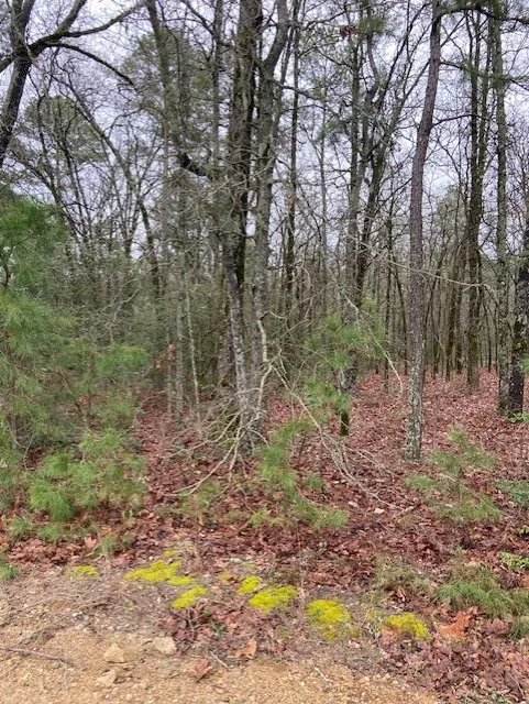 Improved Land For Sale in Wood County , 2529 CR 3540, Hawkins, Texas 75765, 0, 0, Garage spaces, 0 Sqft, built in 0, Price $92,000, mls#21150191, Real Estate Agent in Hawkins, Homes For Sale in Wood county, Homes For Sale in Hawkins, Realtor in Hawkins Texas, Real Estate Brokerage Independent Realty Texas, Luminita Cordes Realtor