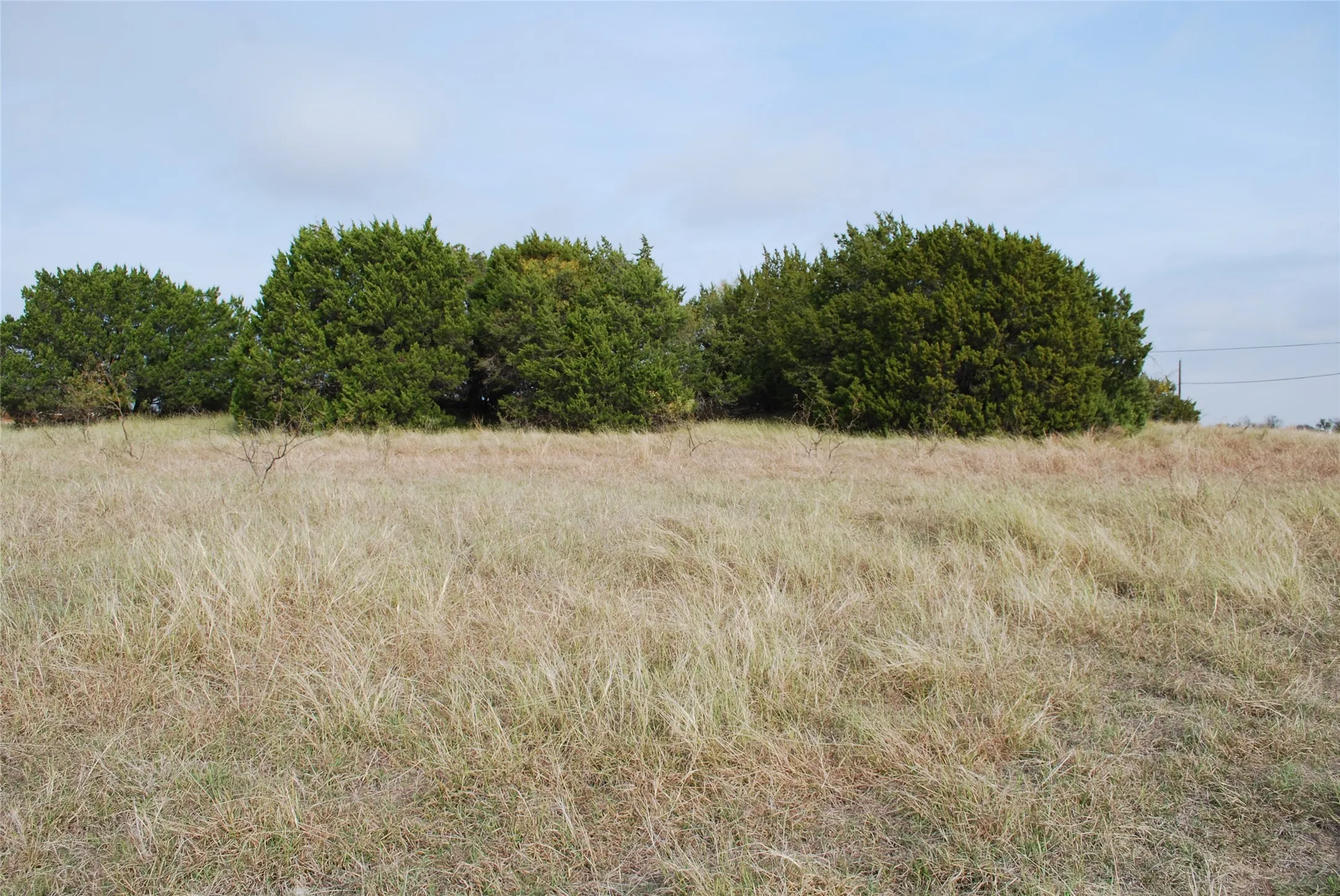 Unimproved Land For Sale in Hill County , 19090 White Bluff Drive, Whitney, Texas 76692, 0, 0, Garage spaces, 0 Sqft, built in 0, Price $24,333, mls#21154057, Real Estate Agent in Whitney, Homes For Sale in Hill county, Homes For Sale in Whitney, Realtor in Whitney Texas, Real Estate Brokerage Independent Realty Texas, Luminita Cordes Realtor