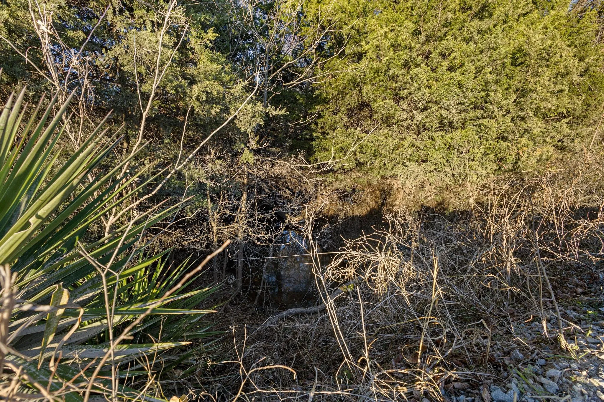 Unimproved Land For Sale in Hunt County , TBD County Road 4618, Wolfe City, Texas 75496, 0, 0, Garage spaces, 0 Sqft, built in 0, mls#21155834, Real Estate Agent in Wolfe City, Homes For Sale in Hunt county, Homes For Sale in Wolfe City, Realtor in Wolfe City Texas, Real Estate Brokerage Independent Realty Texas, Luminita Cordes Realtor
