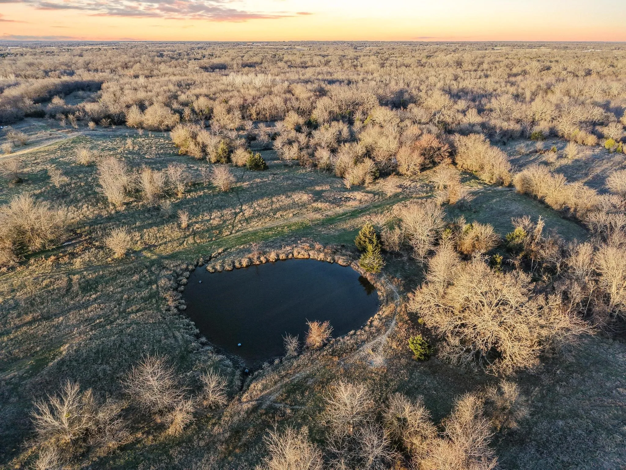 Unimproved Land For Sale in Hunt County , TBD County Road 4618, Wolfe City, Texas 75496, 0, 0, Garage spaces, 0 Sqft, built in 0, mls#21155834, Real Estate Agent in Wolfe City, Homes For Sale in Hunt county, Homes For Sale in Wolfe City, Realtor in Wolfe City Texas, Real Estate Brokerage Independent Realty Texas, Luminita Cordes Realtor