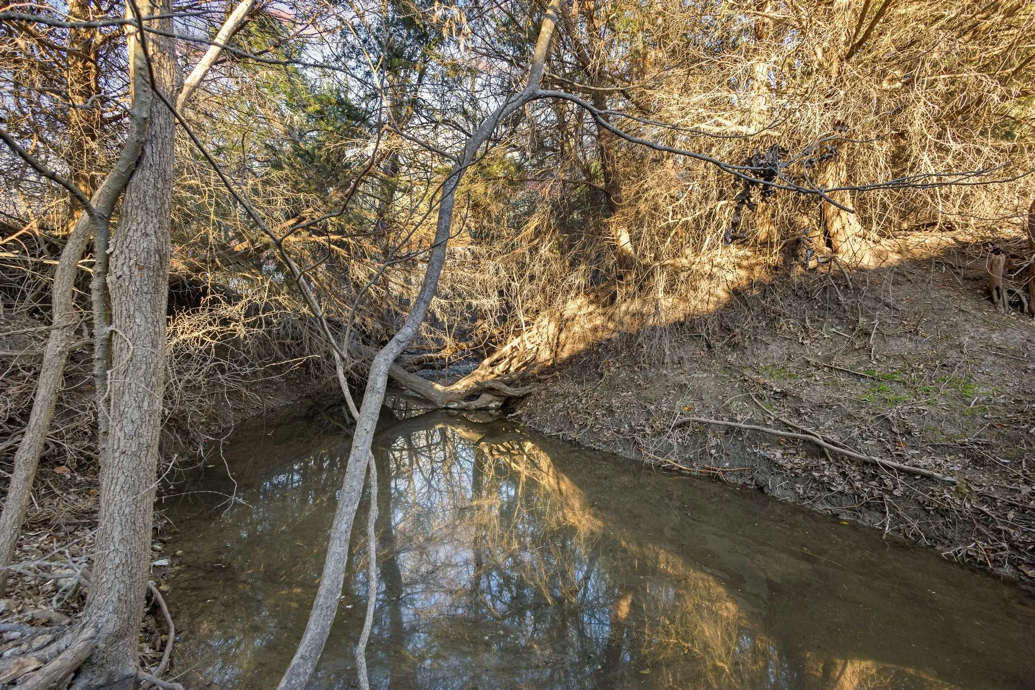 running creek