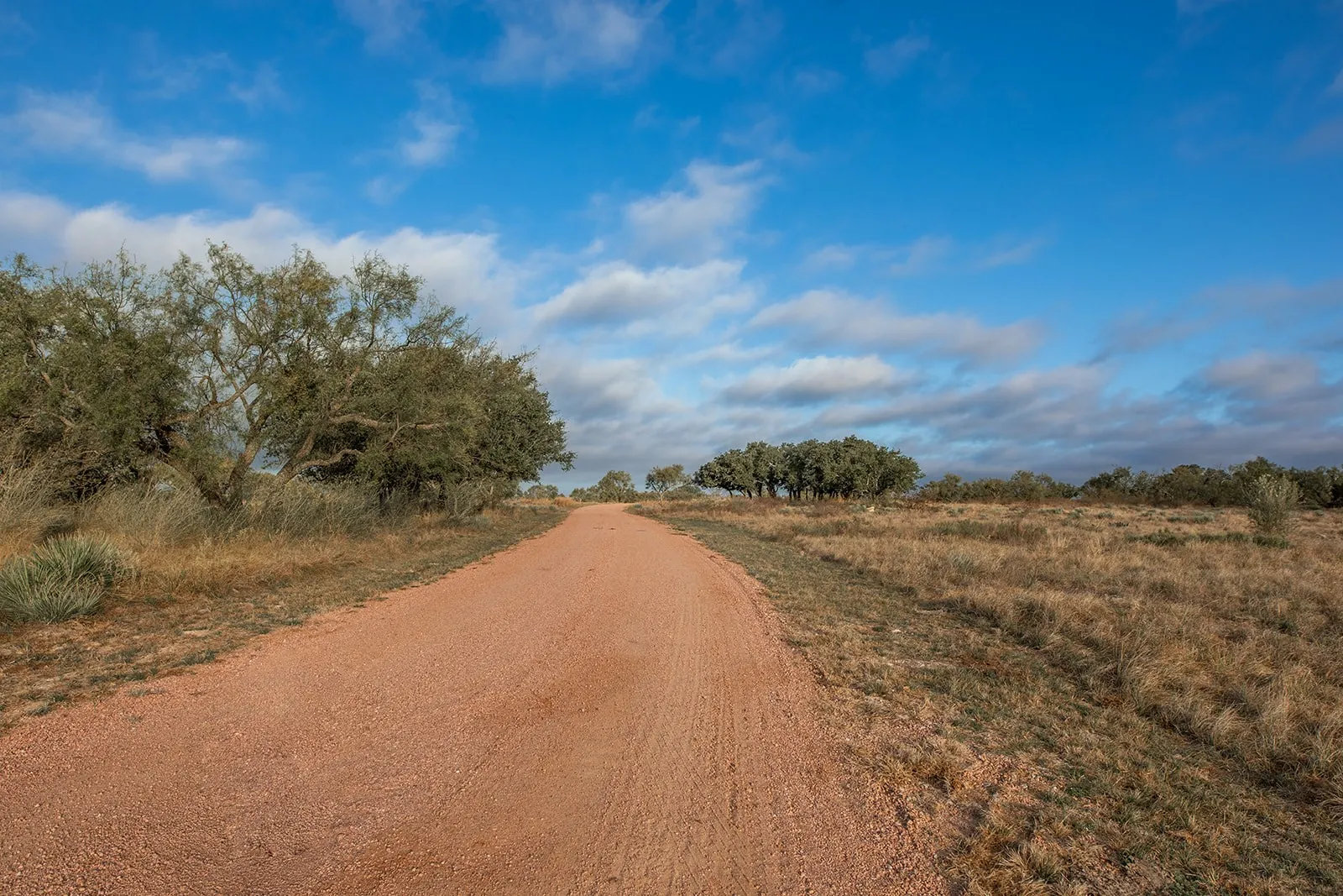 Single Family Residence For Sale in Mc Culloch County , 5550 S US Highway 87, Brady, Texas 76825, 3 Bedrooms, 2 Bathrooms, 2 Garage spaces, 2,835 Sqft, built in 2021, Preowned, Price $1,830,000, mls#21155871, Real Estate Agent in Brady, Homes For Sale in Mc Culloch county, Homes For Sale in Brady, Realtor in Brady Texas, Real Estate Brokerage Independent Realty Texas, Luminita Cordes Realtor