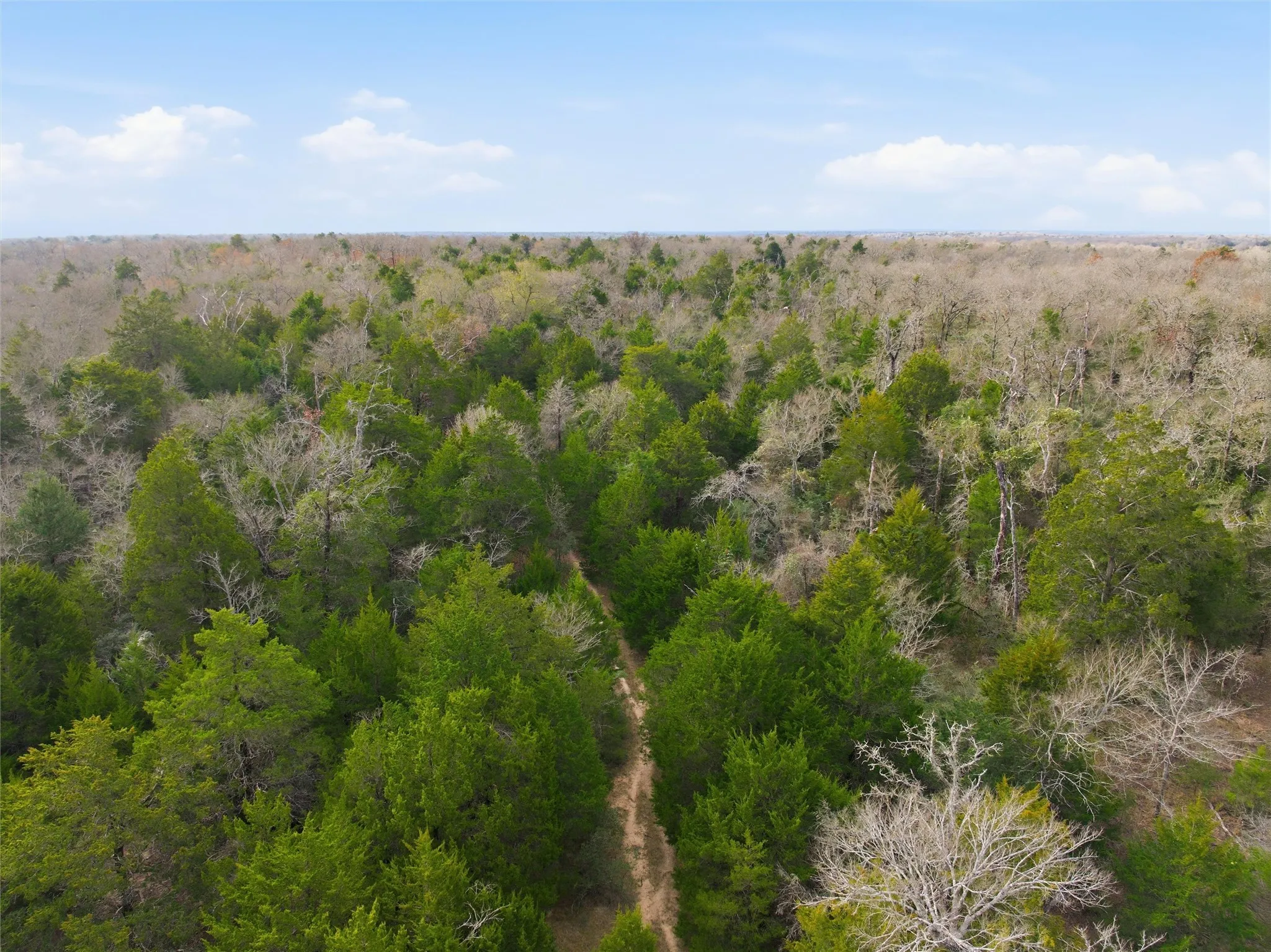 Unimproved Land For Sale in Limestone County , TBD LCR 762, Groesbeck, Texas 76642, 0, 0, Garage spaces, 0 Sqft, built in 0, mls#21153000, Real Estate Agent in Groesbeck, Homes For Sale in Limestone county, Homes For Sale in Groesbeck, Realtor in Groesbeck Texas, Real Estate Brokerage Independent Realty Texas, Luminita Cordes Realtor