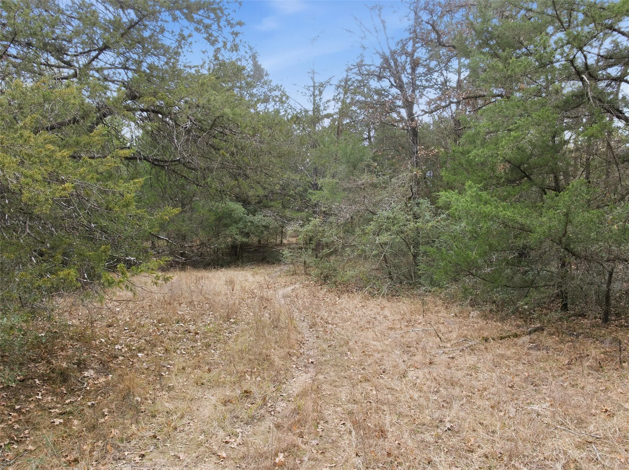 Unimproved Land For Sale in Limestone County , TBD LCR 762, Groesbeck, Texas 76642, 0, 0, Garage spaces, 0 Sqft, built in 0, mls#21153000, Real Estate Agent in Groesbeck, Homes For Sale in Limestone county, Homes For Sale in Groesbeck, Realtor in Groesbeck Texas, Real Estate Brokerage Independent Realty Texas, Luminita Cordes Realtor