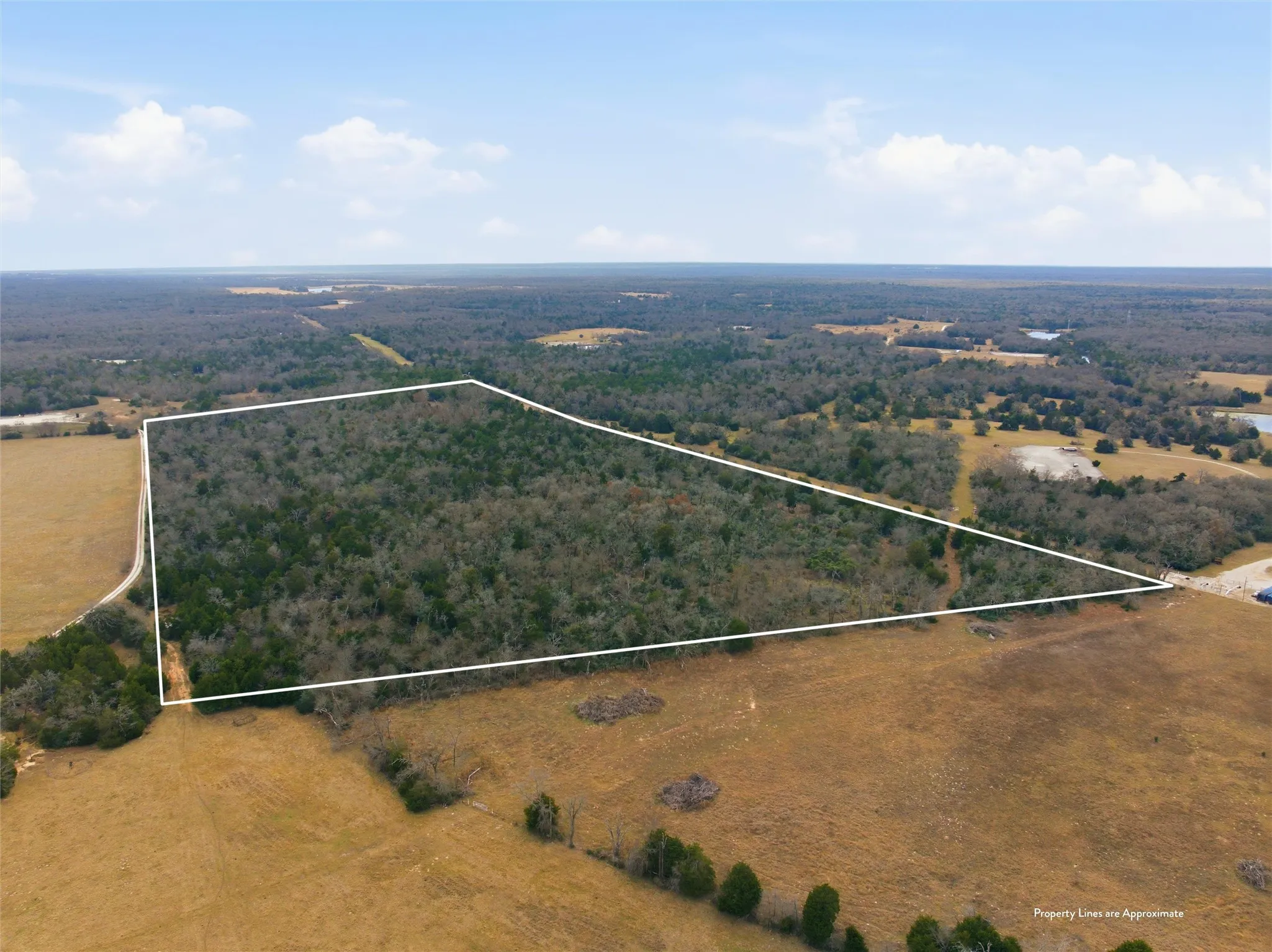 Unimproved Land For Sale in Limestone County , TBD LCR 762, Groesbeck, Texas 76642, 0, 0, Garage spaces, 0 Sqft, built in 0, mls#21153000, Real Estate Agent in Groesbeck, Homes For Sale in Limestone county, Homes For Sale in Groesbeck, Realtor in Groesbeck Texas, Real Estate Brokerage Independent Realty Texas, Luminita Cordes Realtor