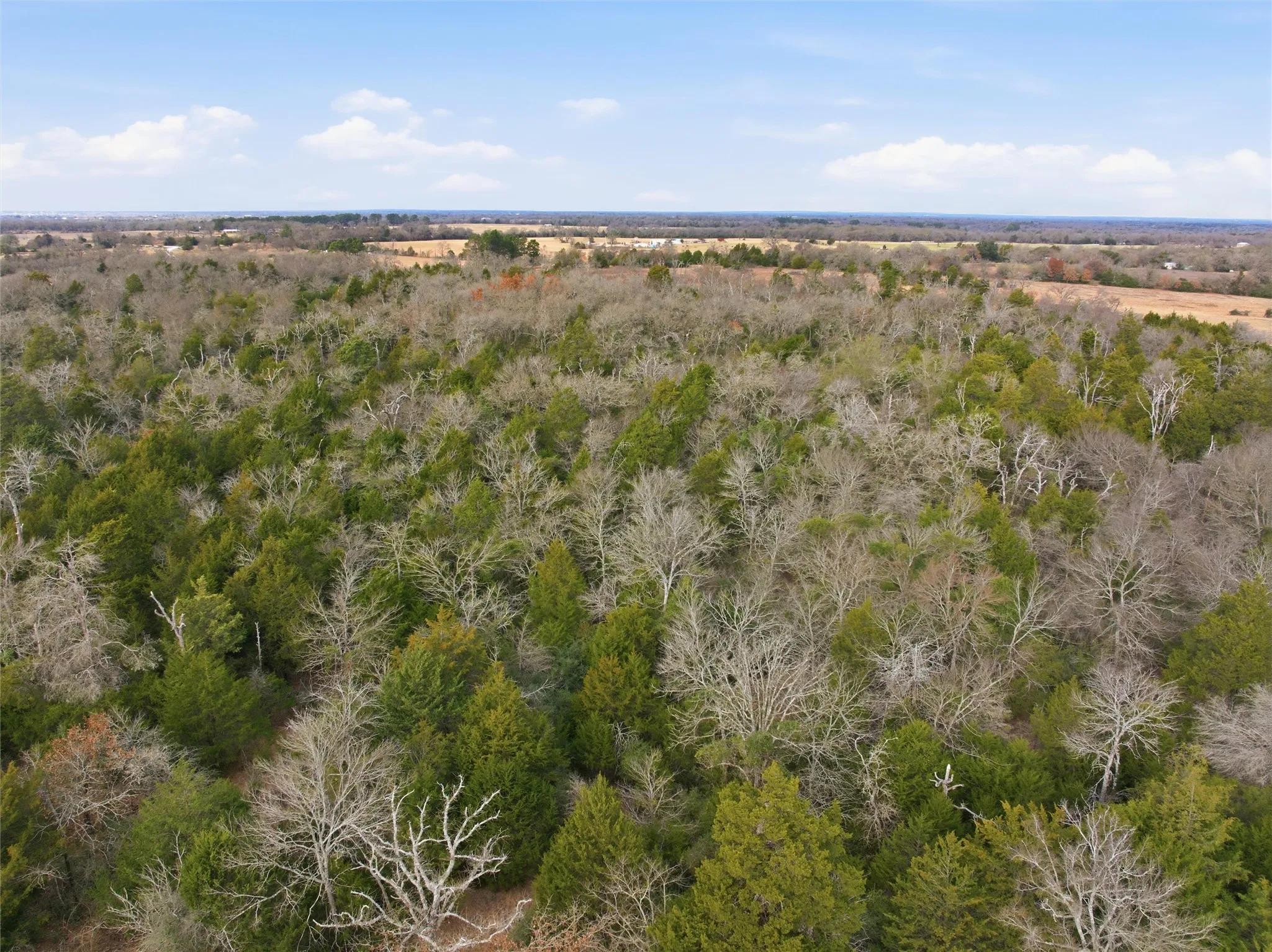 Unimproved Land For Sale in Limestone County , TBD LCR 762, Groesbeck, Texas 76642, 0, 0, Garage spaces, 0 Sqft, built in 0, mls#21153000, Real Estate Agent in Groesbeck, Homes For Sale in Limestone county, Homes For Sale in Groesbeck, Realtor in Groesbeck Texas, Real Estate Brokerage Independent Realty Texas, Luminita Cordes Realtor