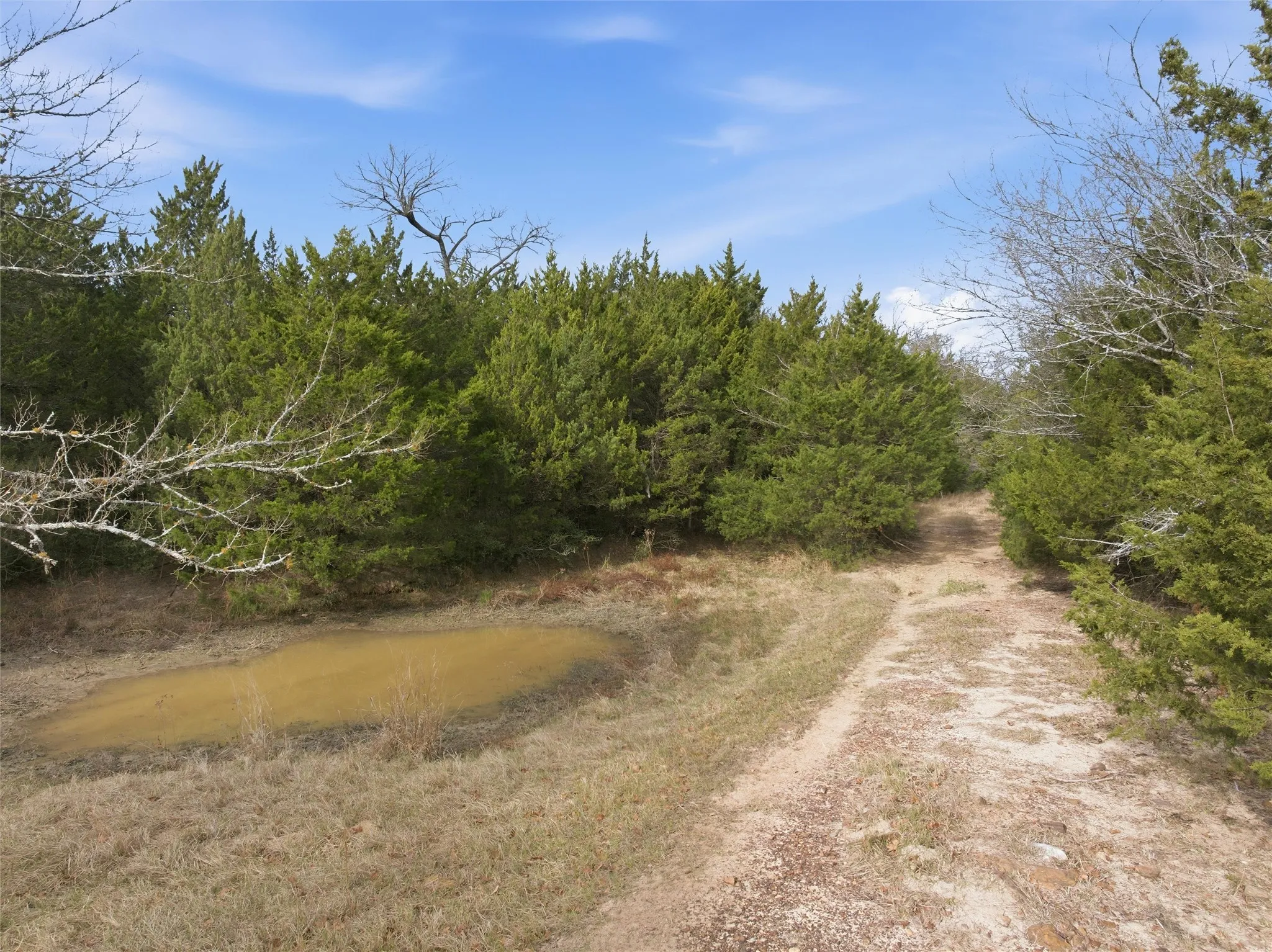 Unimproved Land For Sale in Limestone County , TBD LCR 762, Groesbeck, Texas 76642, 0, 0, Garage spaces, 0 Sqft, built in 0, mls#21153000, Real Estate Agent in Groesbeck, Homes For Sale in Limestone county, Homes For Sale in Groesbeck, Realtor in Groesbeck Texas, Real Estate Brokerage Independent Realty Texas, Luminita Cordes Realtor