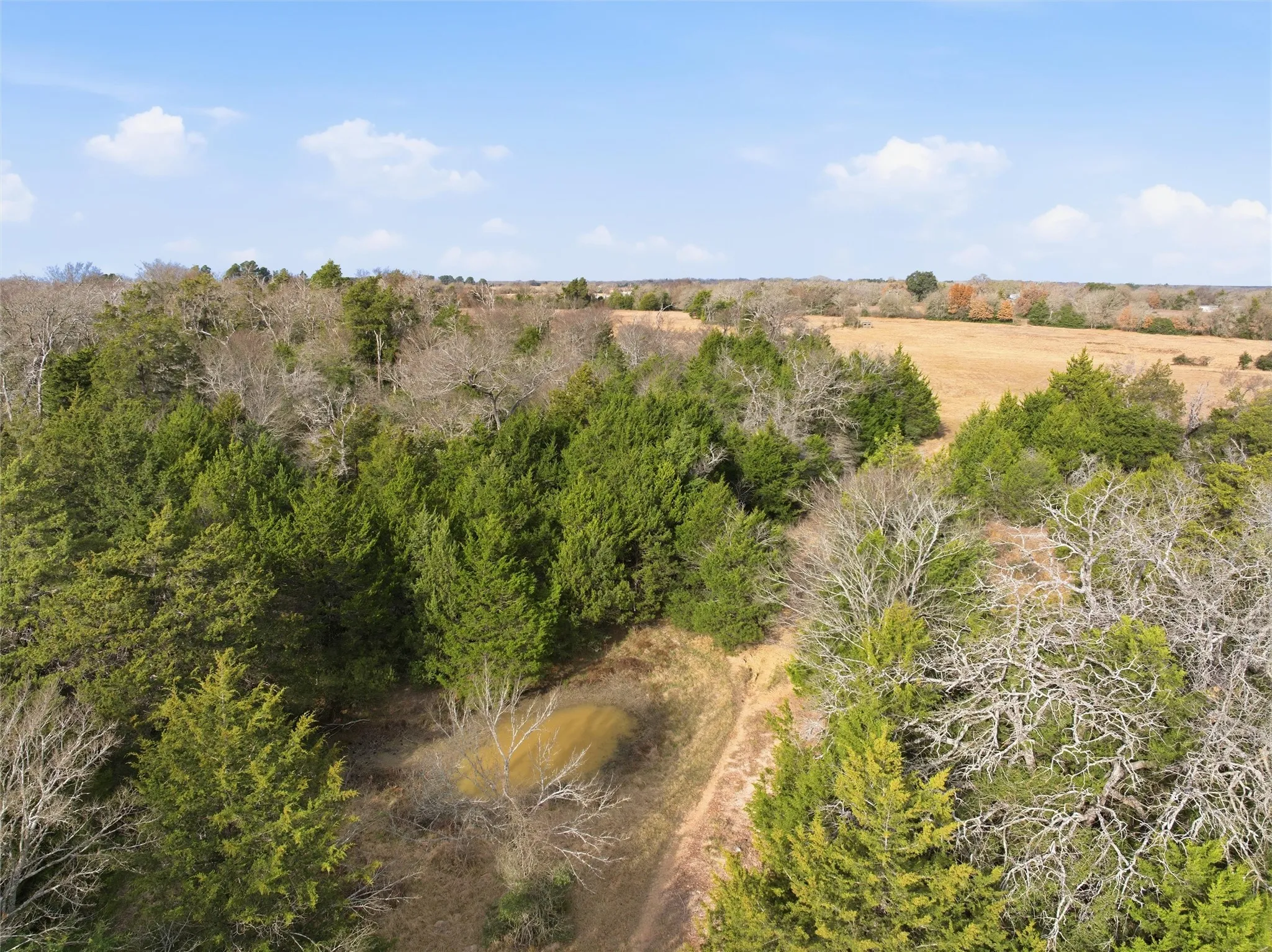Unimproved Land For Sale in Limestone County , TBD LCR 762, Groesbeck, Texas 76642, 0, 0, Garage spaces, 0 Sqft, built in 0, mls#21153000, Real Estate Agent in Groesbeck, Homes For Sale in Limestone county, Homes For Sale in Groesbeck, Realtor in Groesbeck Texas, Real Estate Brokerage Independent Realty Texas, Luminita Cordes Realtor