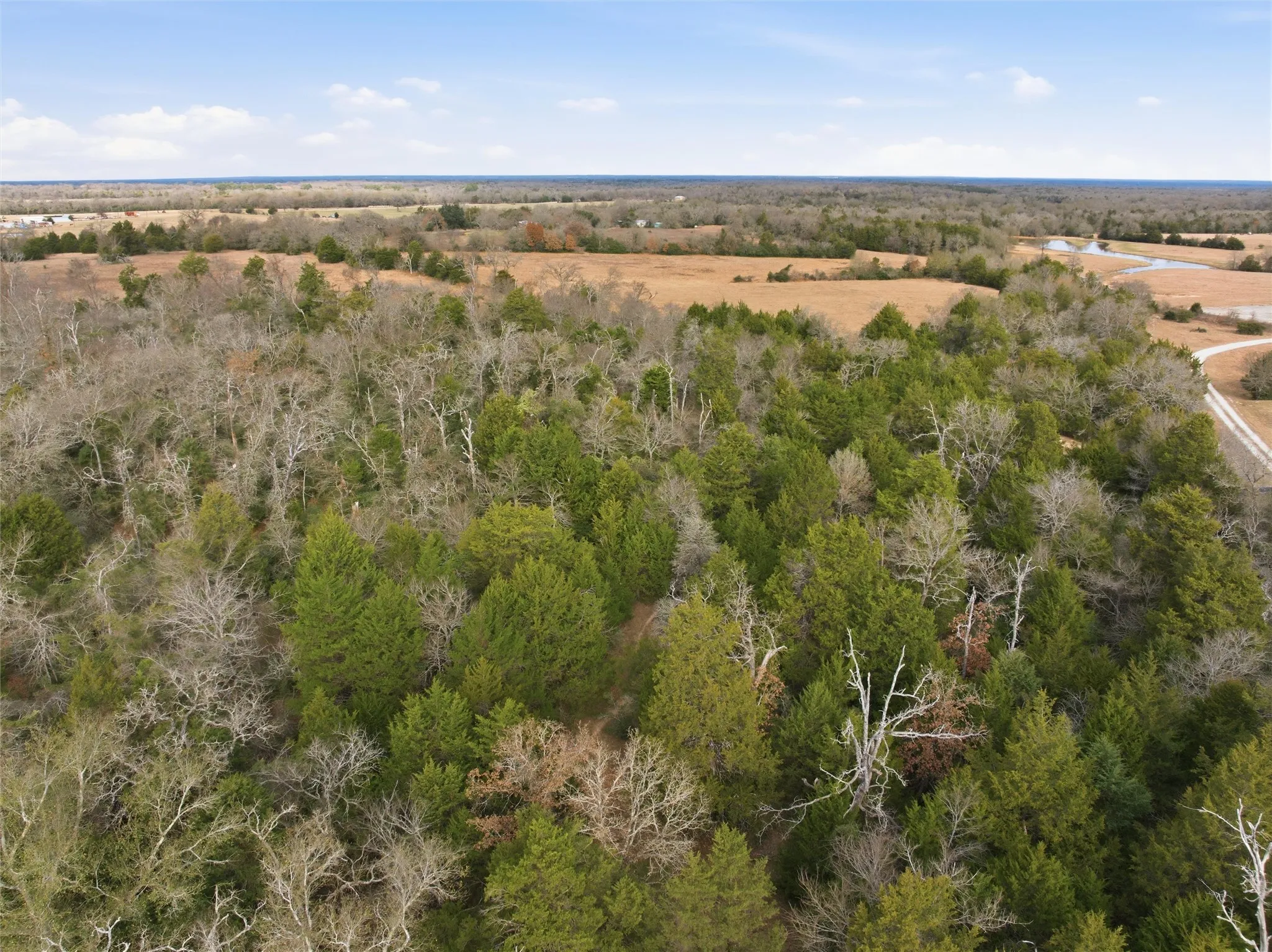 Unimproved Land For Sale in Limestone County , TBD LCR 762, Groesbeck, Texas 76642, 0, 0, Garage spaces, 0 Sqft, built in 0, mls#21153000, Real Estate Agent in Groesbeck, Homes For Sale in Limestone county, Homes For Sale in Groesbeck, Realtor in Groesbeck Texas, Real Estate Brokerage Independent Realty Texas, Luminita Cordes Realtor