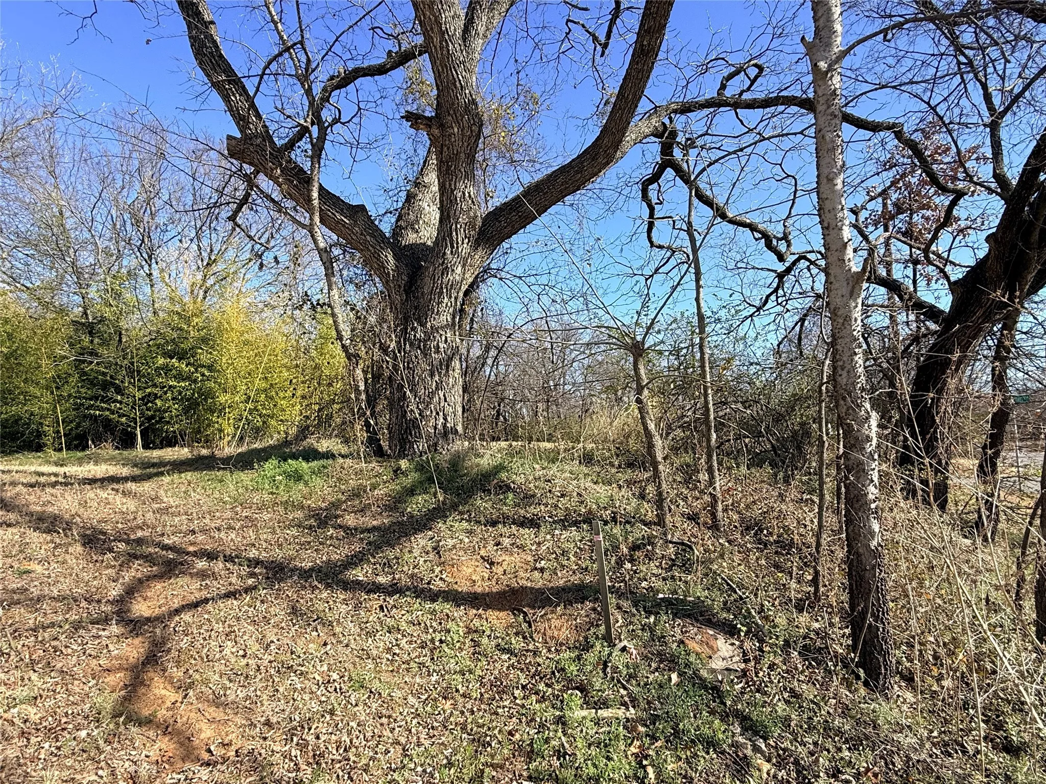 Unimproved Land For Sale in Grayson County , 501 W Walker Street, Denison, Texas 75020, 0, 0, Garage spaces, 0 Sqft, built in 0, Price $39,500, mls#21155973, Real Estate Agent in Denison, Homes For Sale in Grayson county, Homes For Sale in Denison, Realtor in Denison Texas, Real Estate Brokerage Independent Realty Texas, Luminita Cordes Realtor